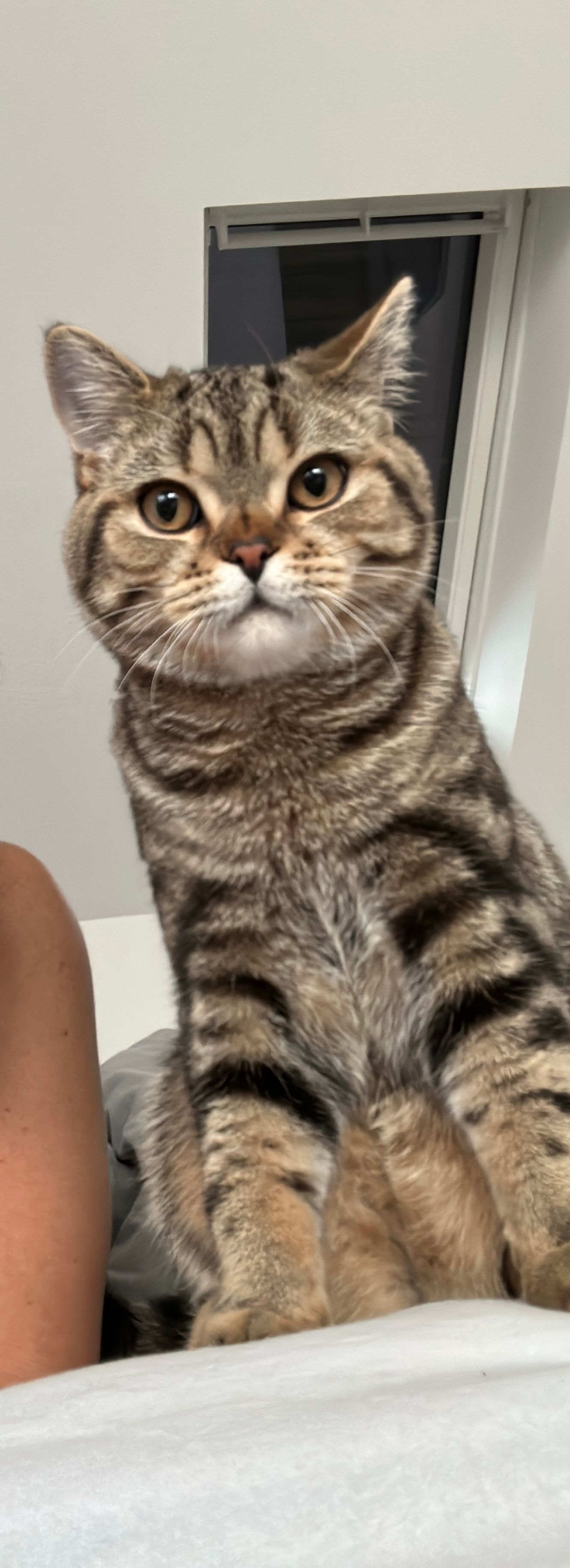 Rio - Robert-Von-Mayer-Straße, Oldenburg