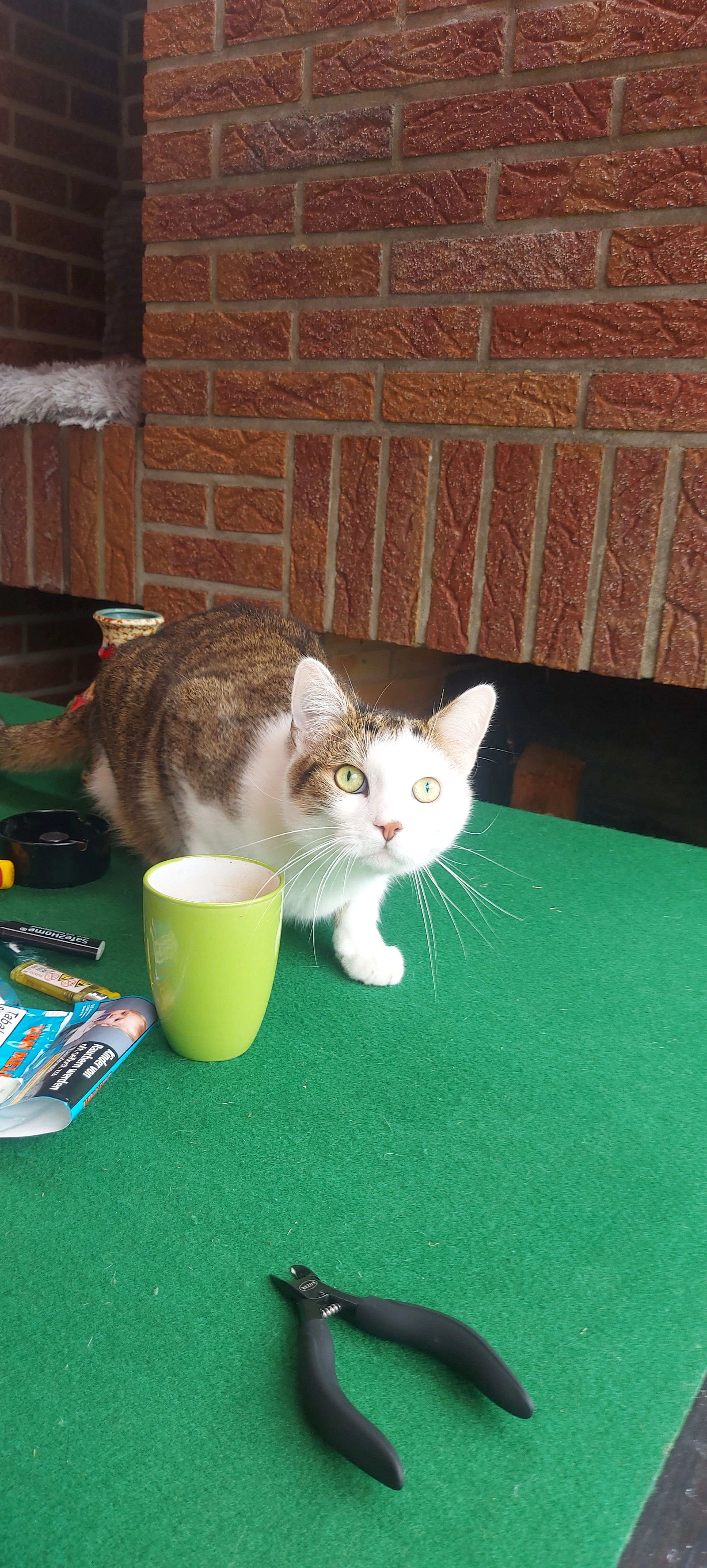 Boby - Schulstraße, Swisttal