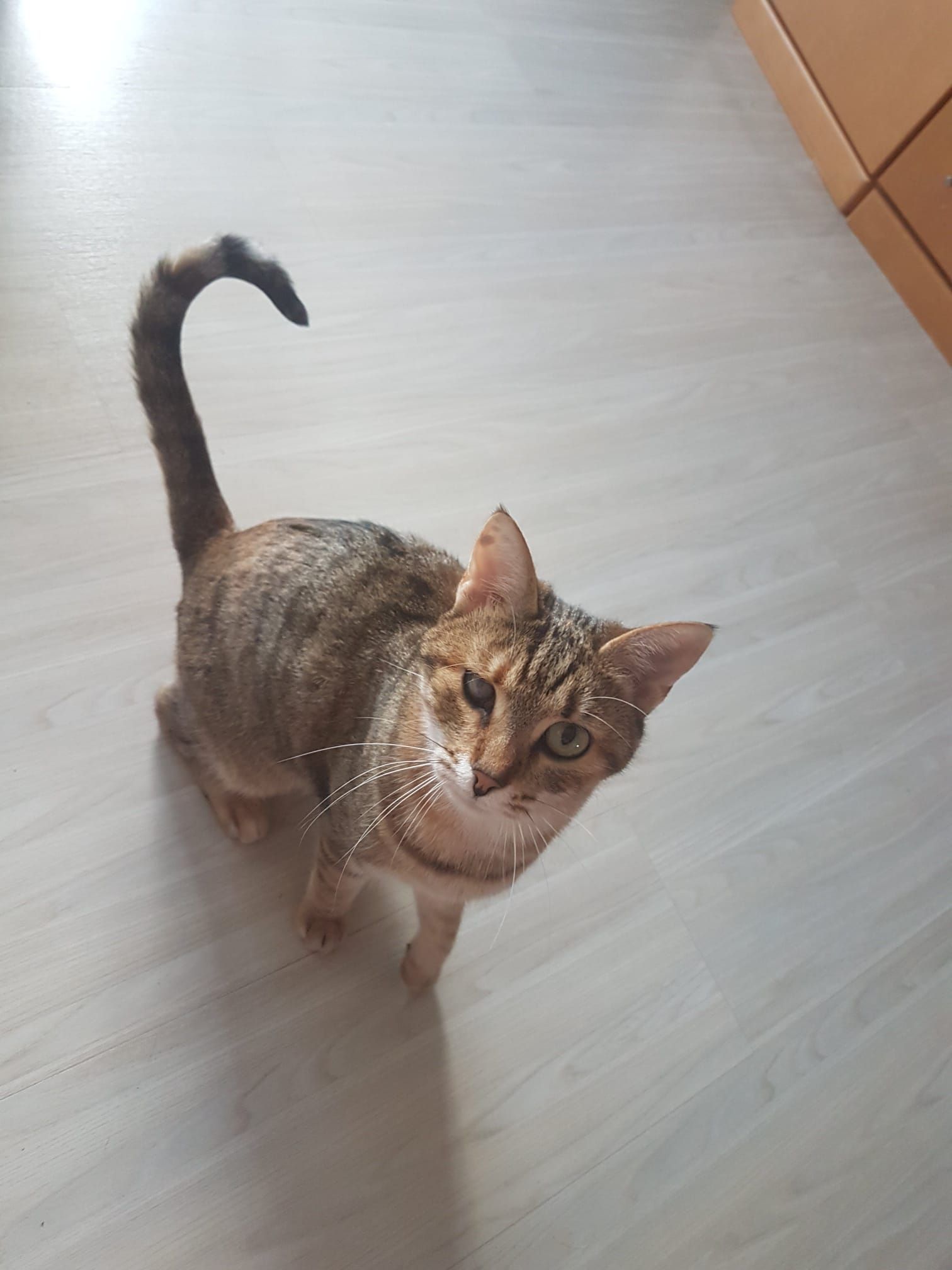 Sreća - Alois-Schaller-Straße 8, Trofaiach