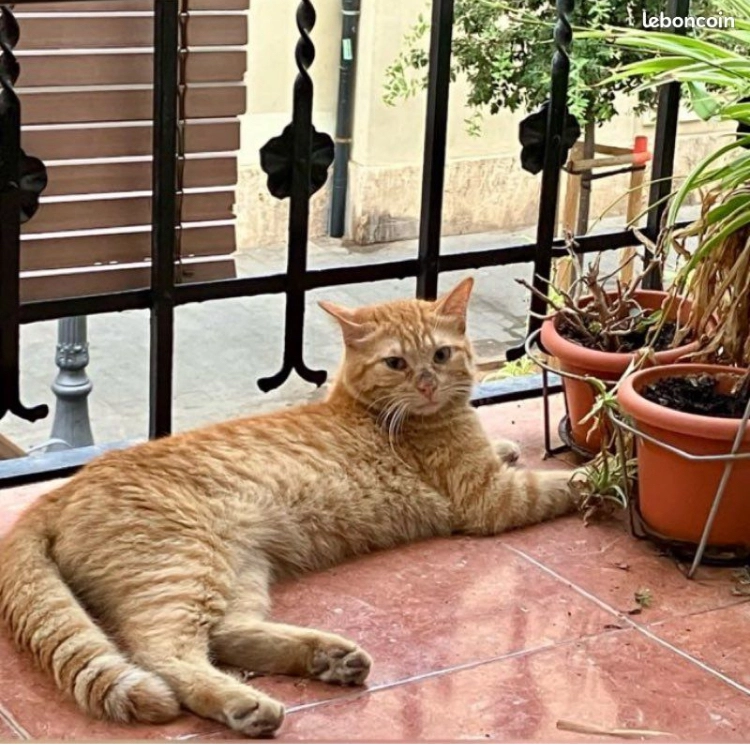 Simbad - 18 Route de Lyre, Les Baux-de-Breteuil