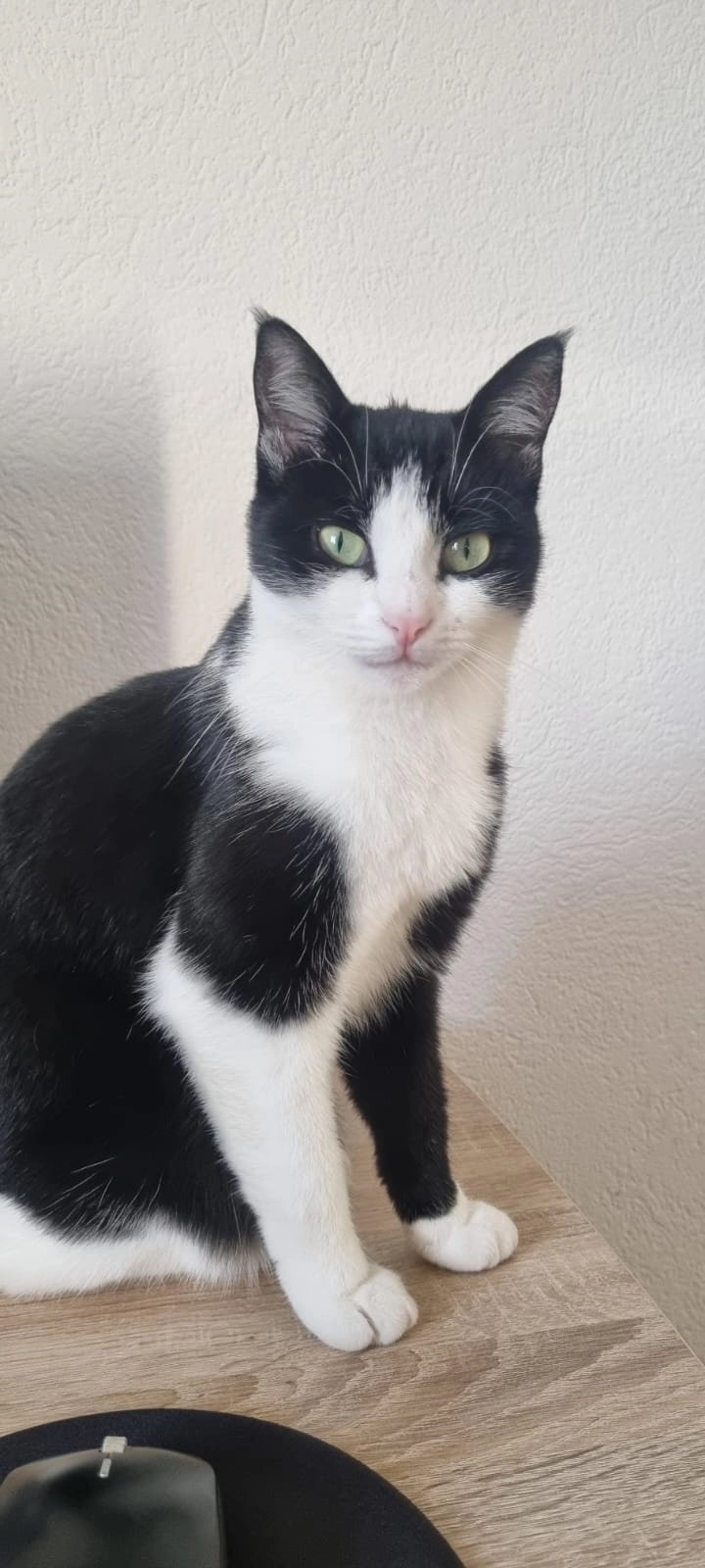 ivi - Chemin du Mont-Tendre, Penthalaz