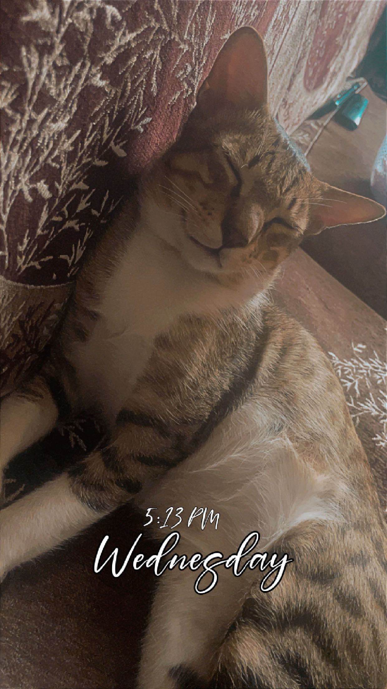 Bachchu  - Vatva, Ahmedabad