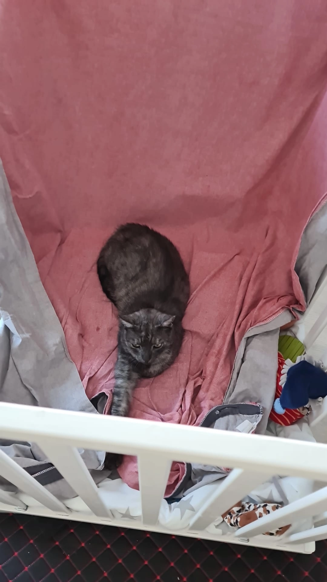 Tiki - Imsiekstraße, Bielefeld