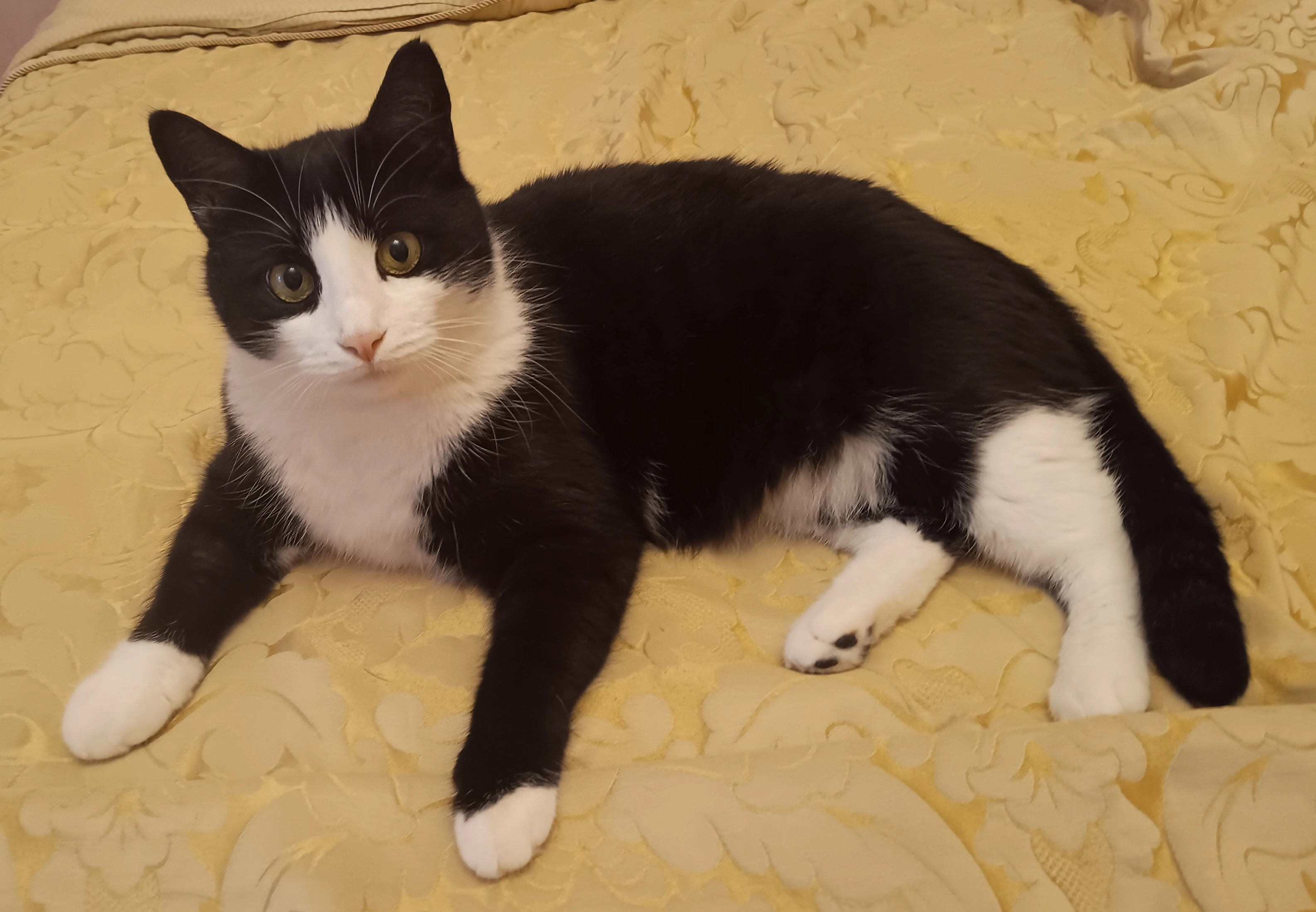 Murchik - Moosstrasse, Urtenen-Schönbühl