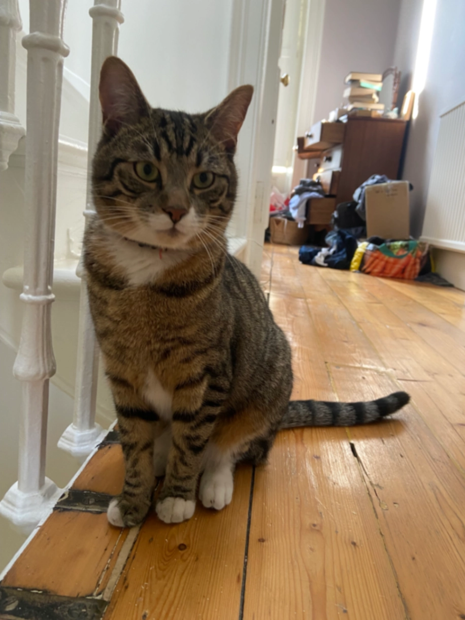 Eddie - Montpelier Park, Edinburgh