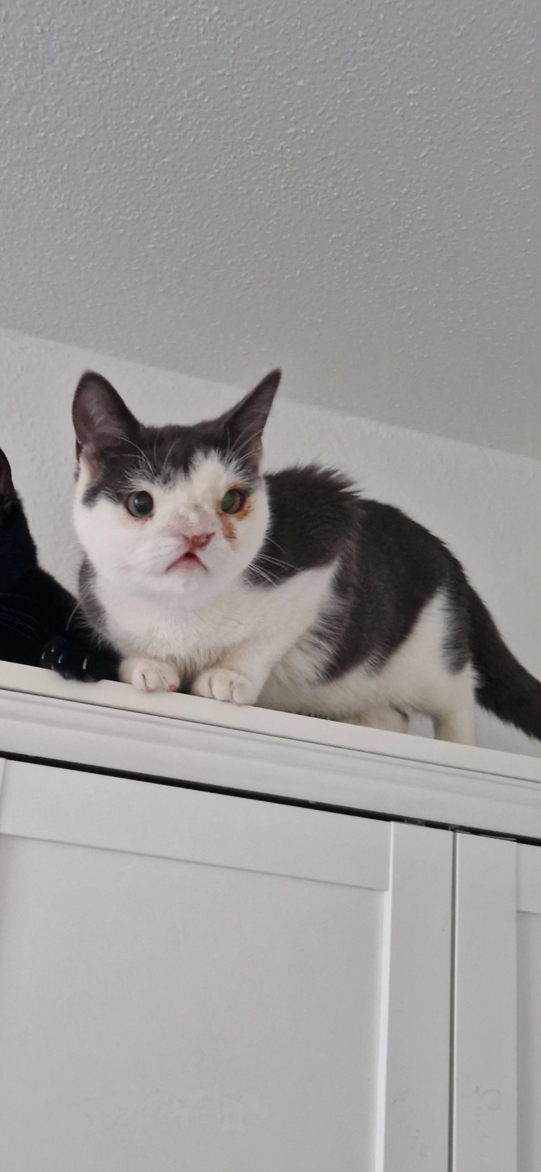 Phil - Am Blöckenkamp , Neumünster