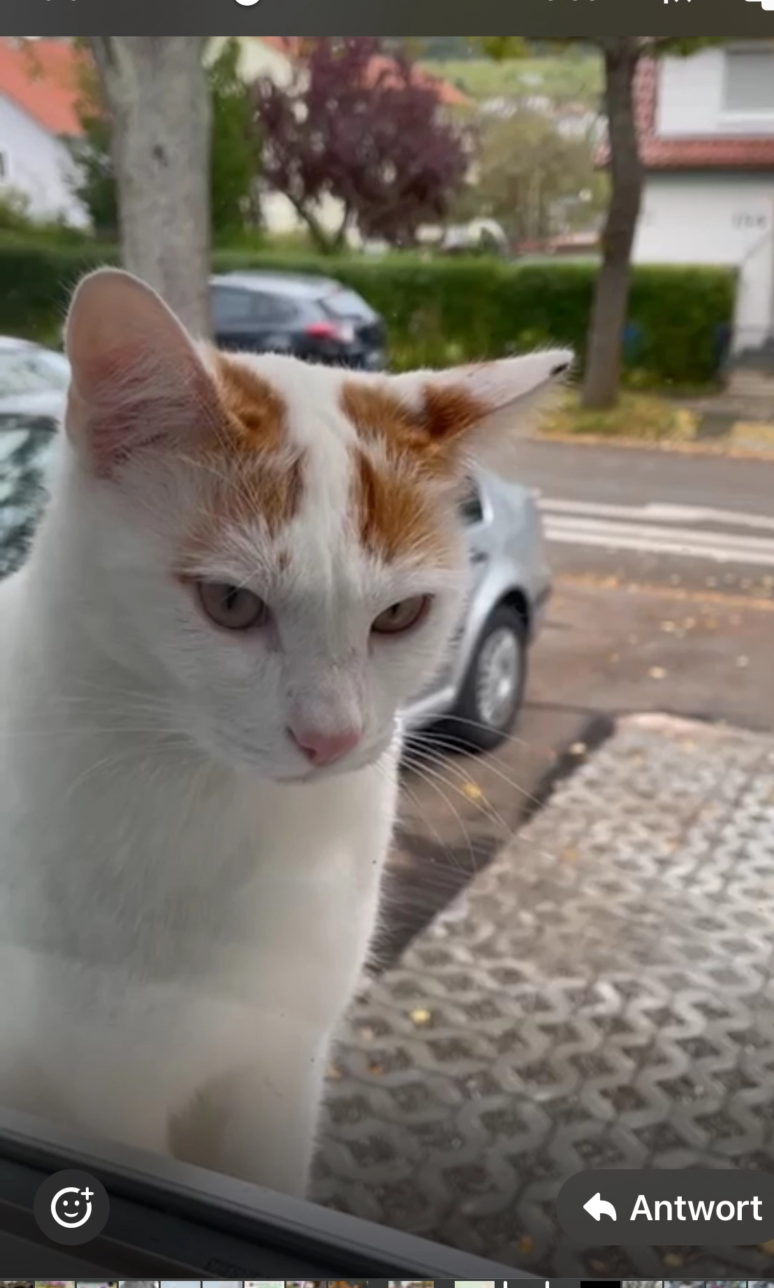 Balim - Riedstraße, Albstadt