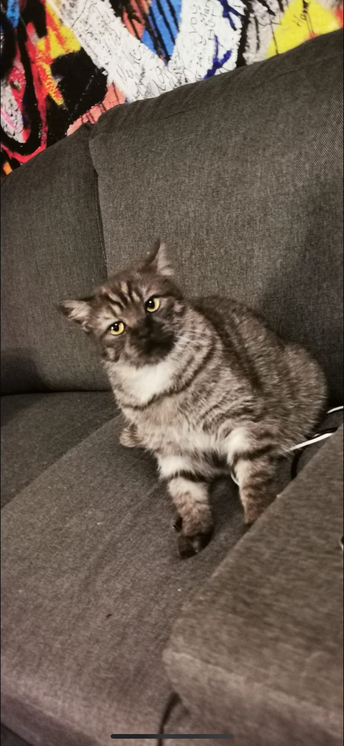 Heinz - Grabenstraße, Seligenstadt