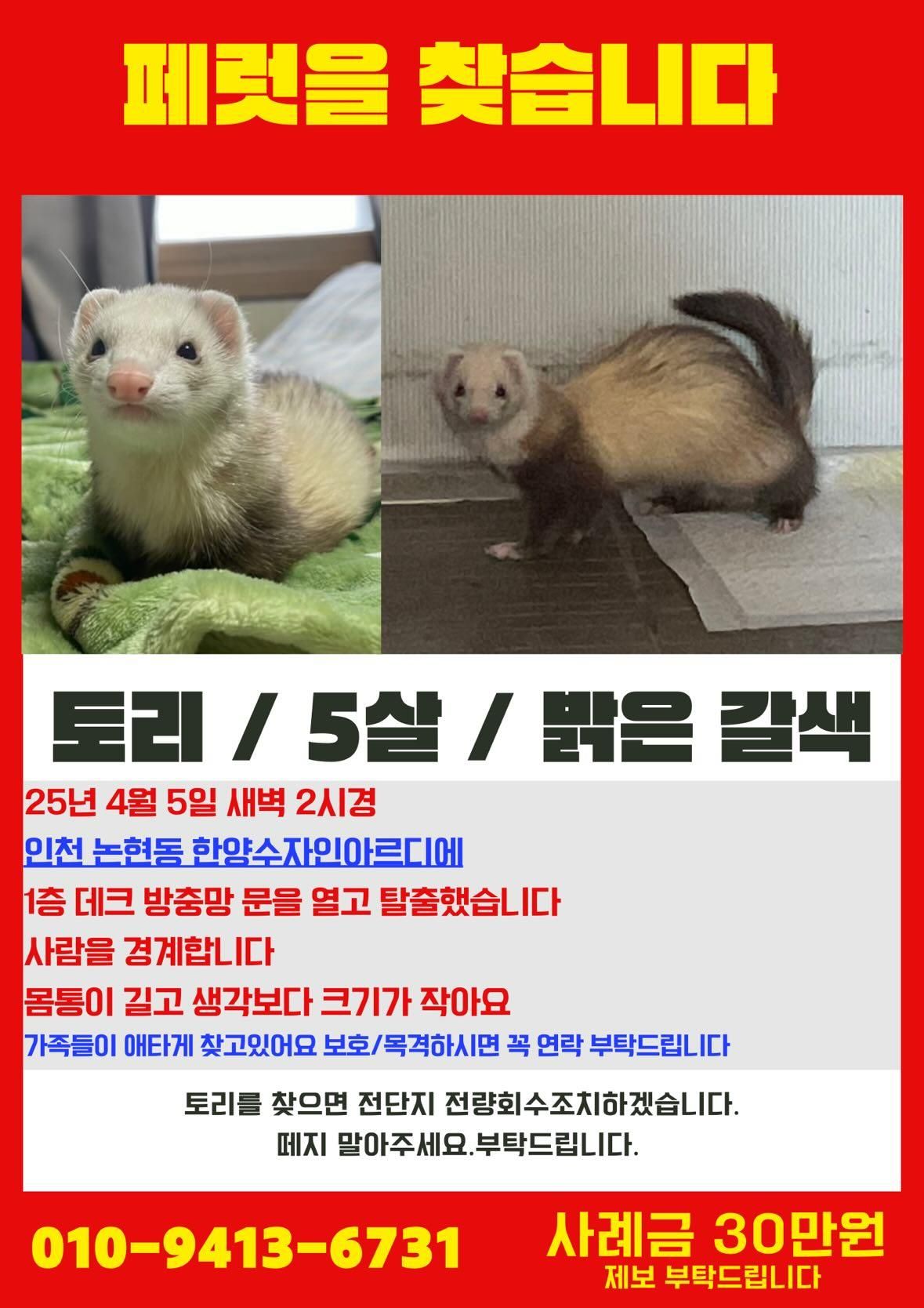 No name - Gojan-dong, Incheon