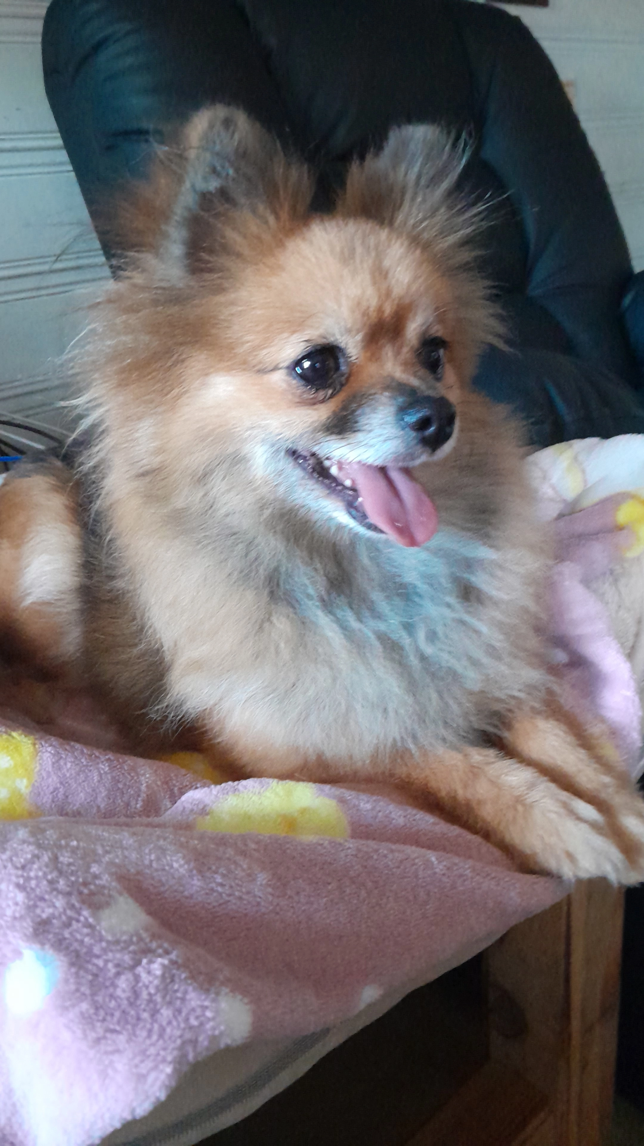 Shinna - Dionysiusstraße, Lissendorf