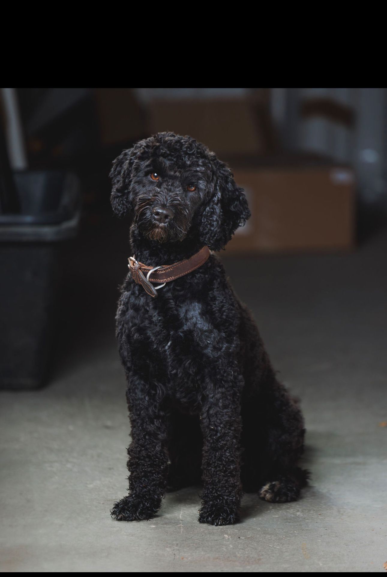 Leroy - Kanzleistraße, Hamburg