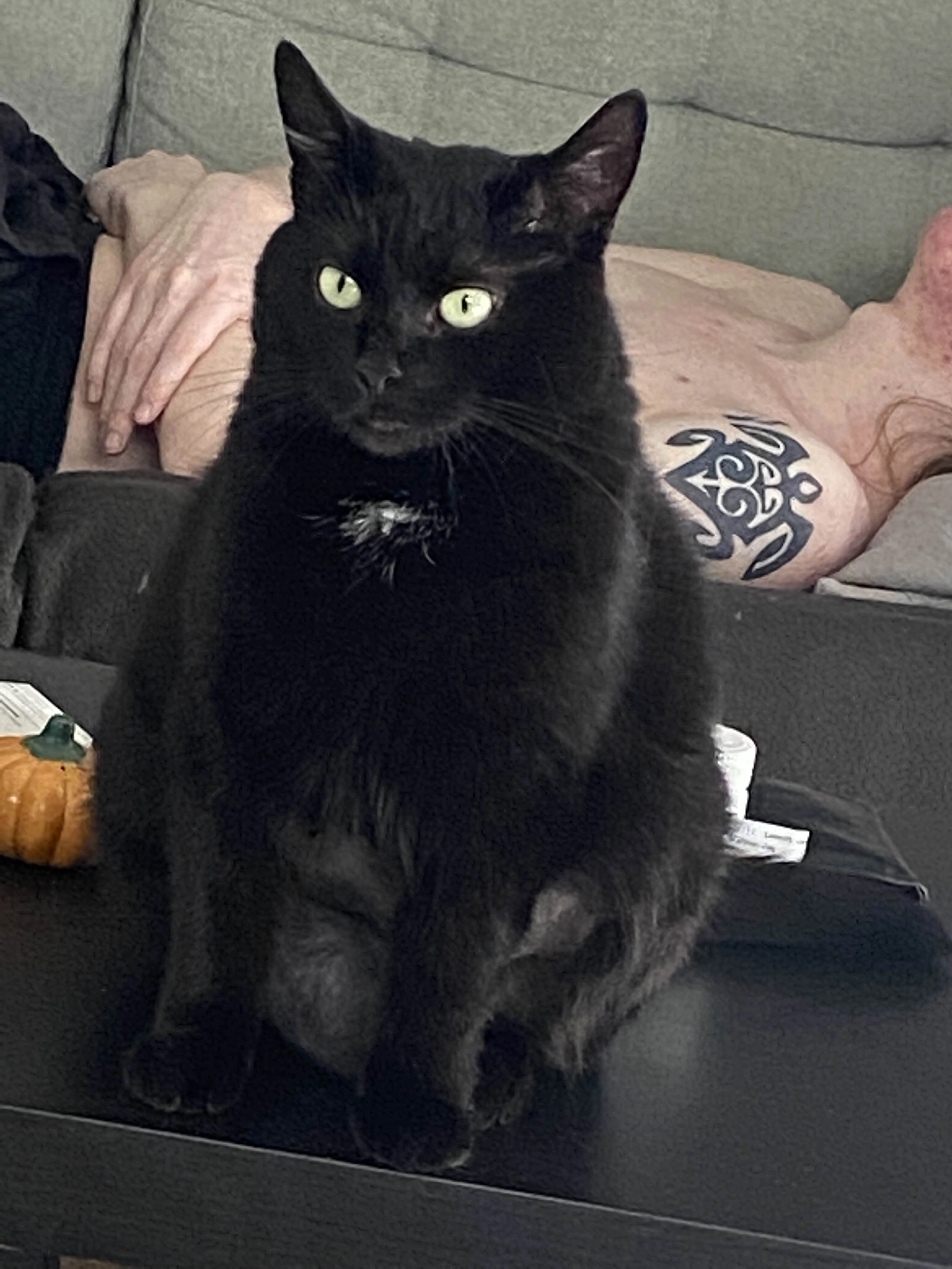 Ebba - Utbergsvägen, Gothenburg