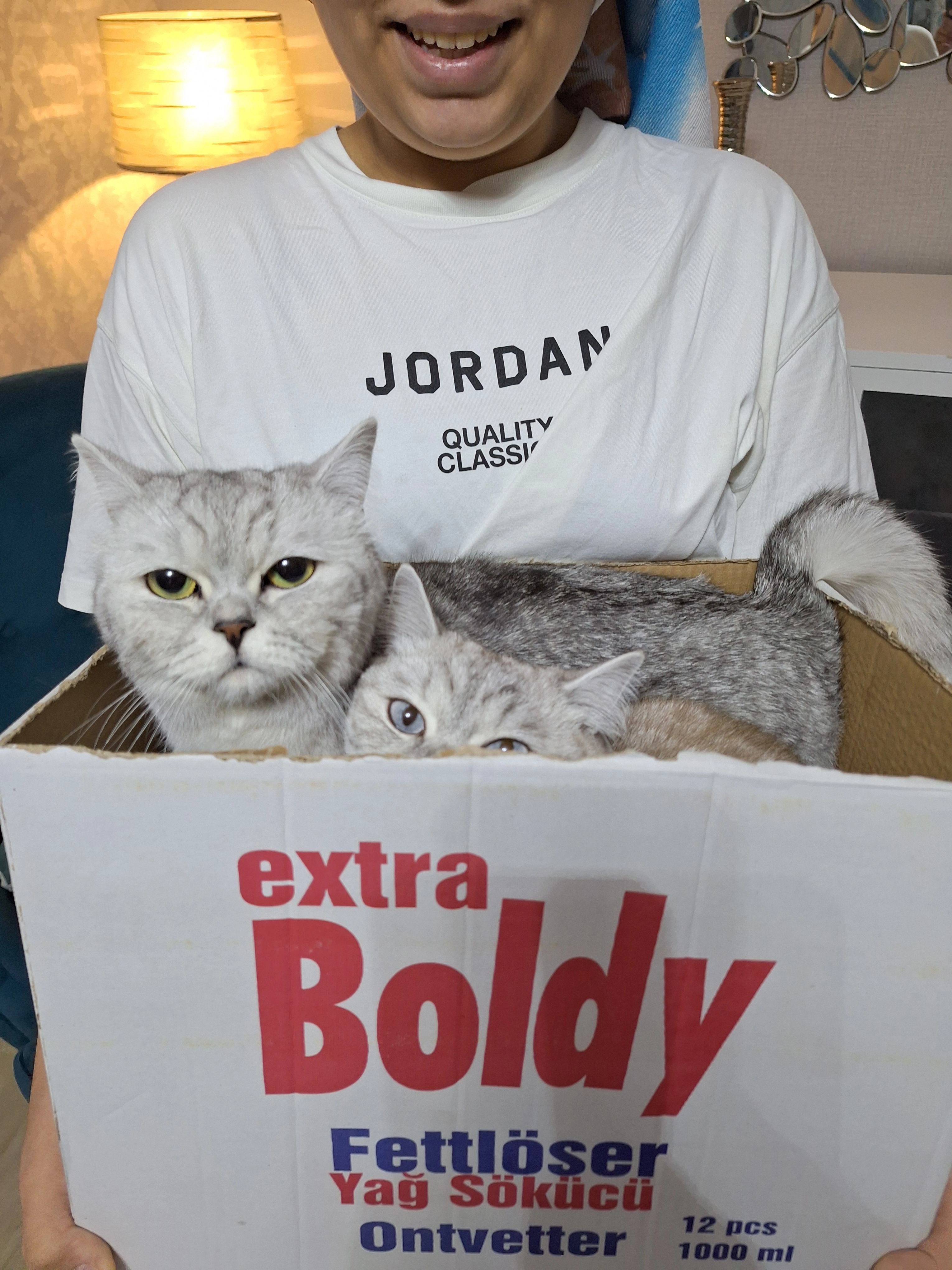 Cuti - Devesestraße, Gelsenkirchen