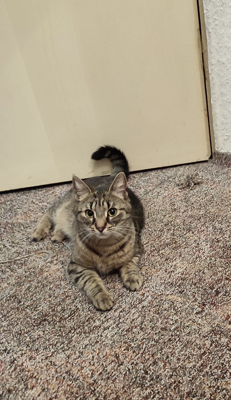 fifi - Puschkinstraße 28, Bernau bei Berlin