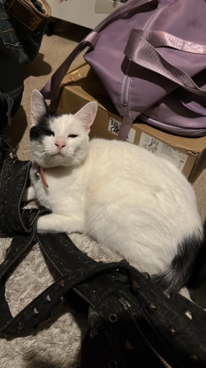 Pop - Albany Road, Worcester