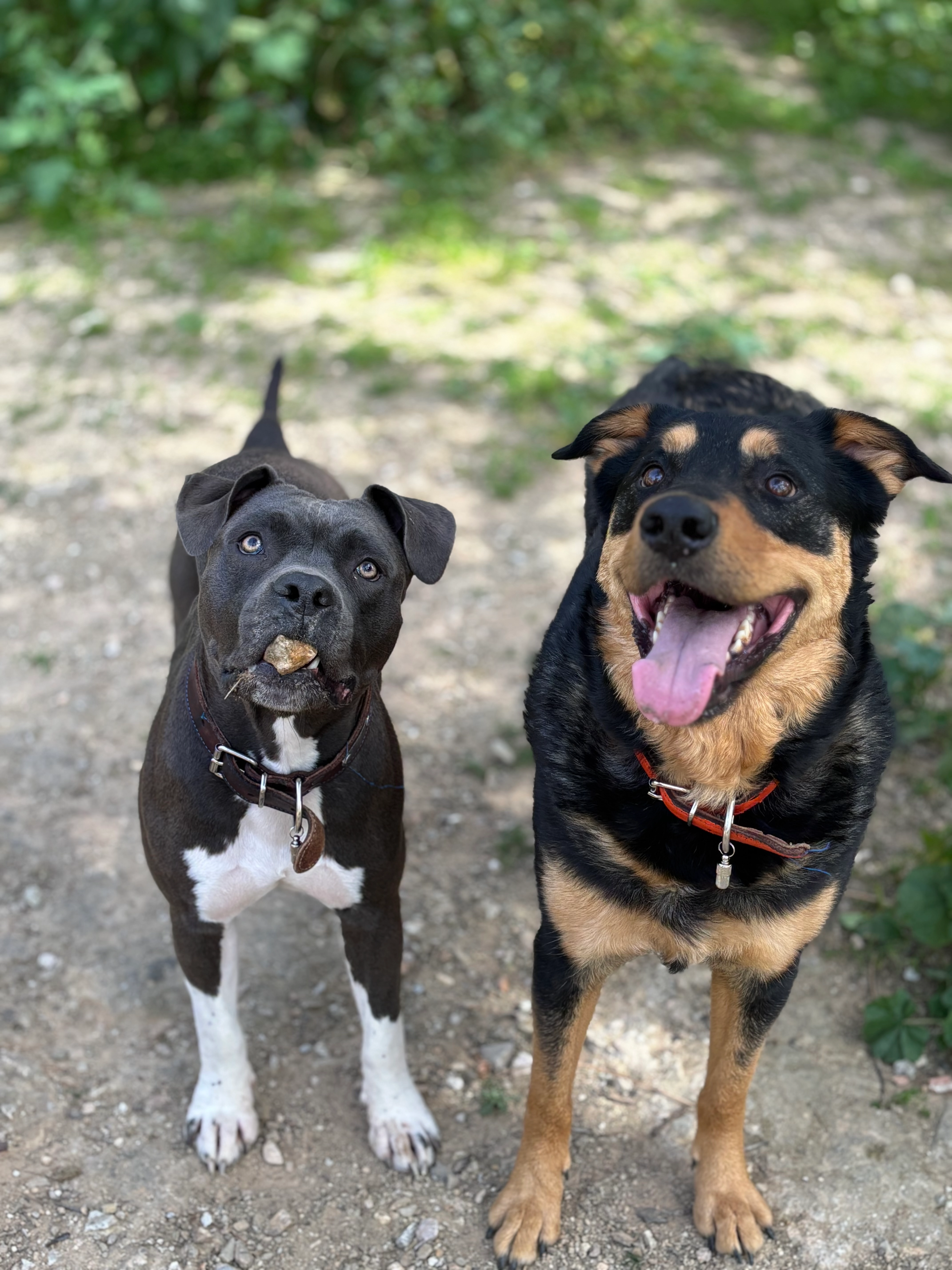 Nami and Ramon  - Linavägen, Södertälje