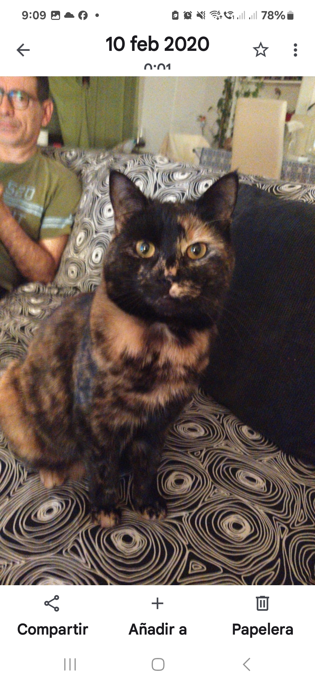 Juno - Rue Du Kiem, Capellen