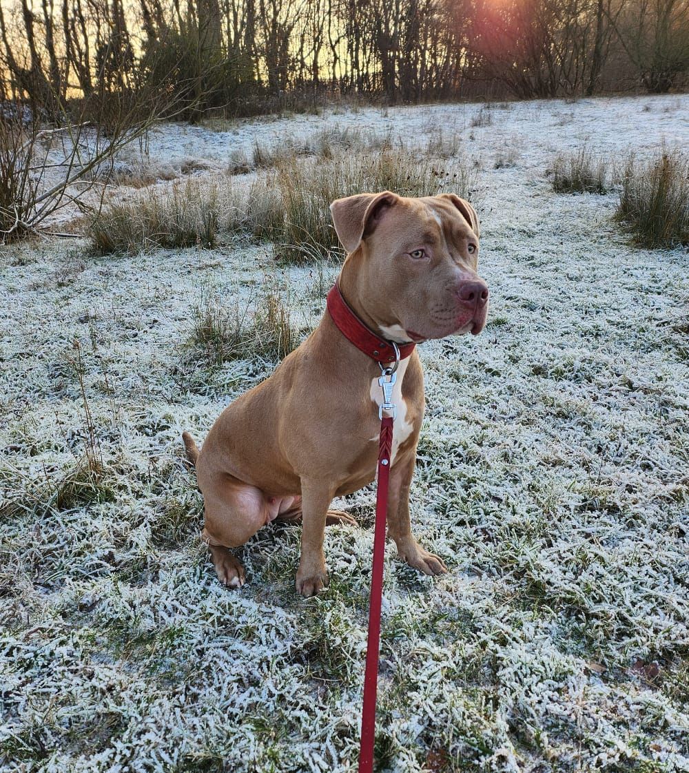 Meena - Meuserstraat, Kerkrade