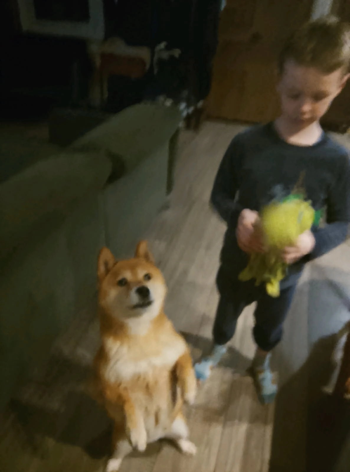 Charly - 51 Rue Paul Bert, Décines-Charpieu