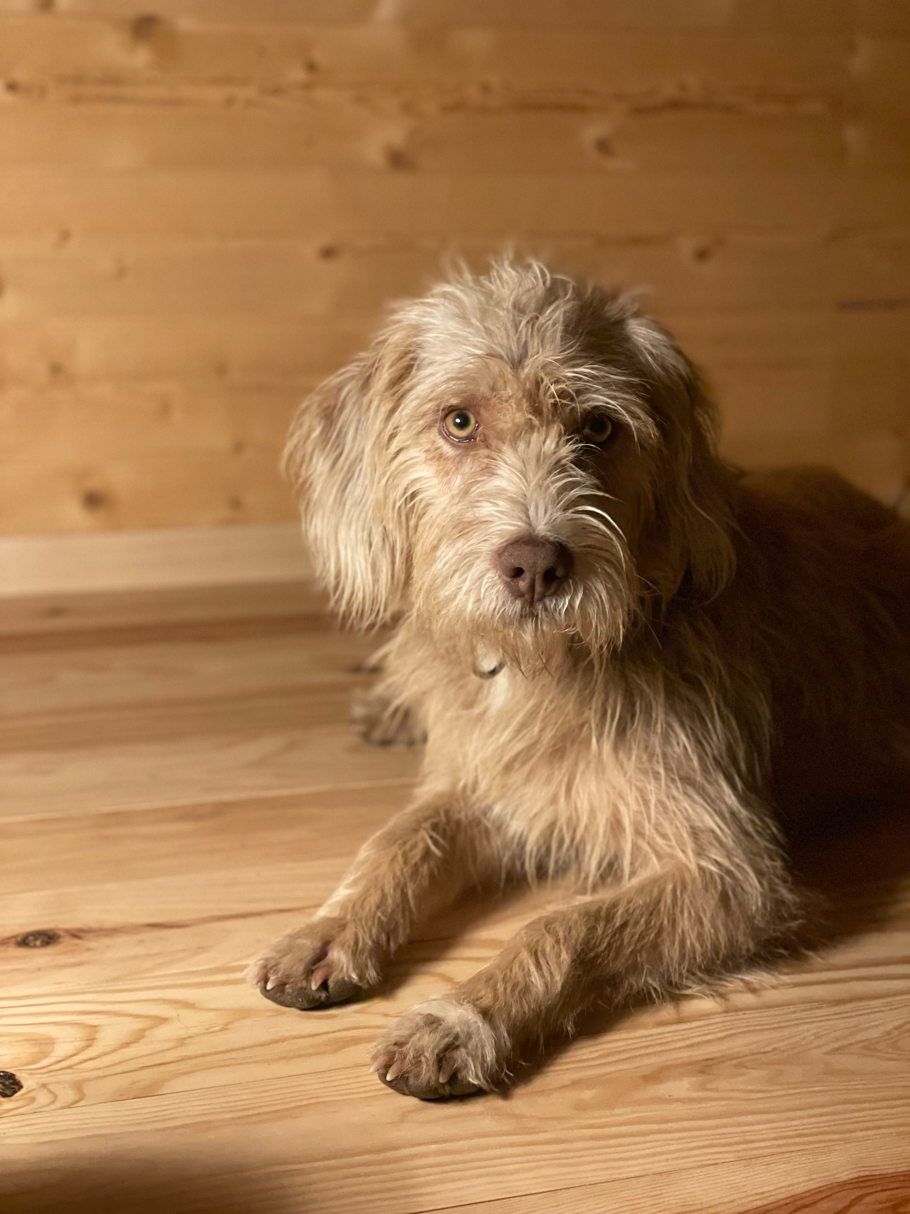 Amor - 29, Mohammadia