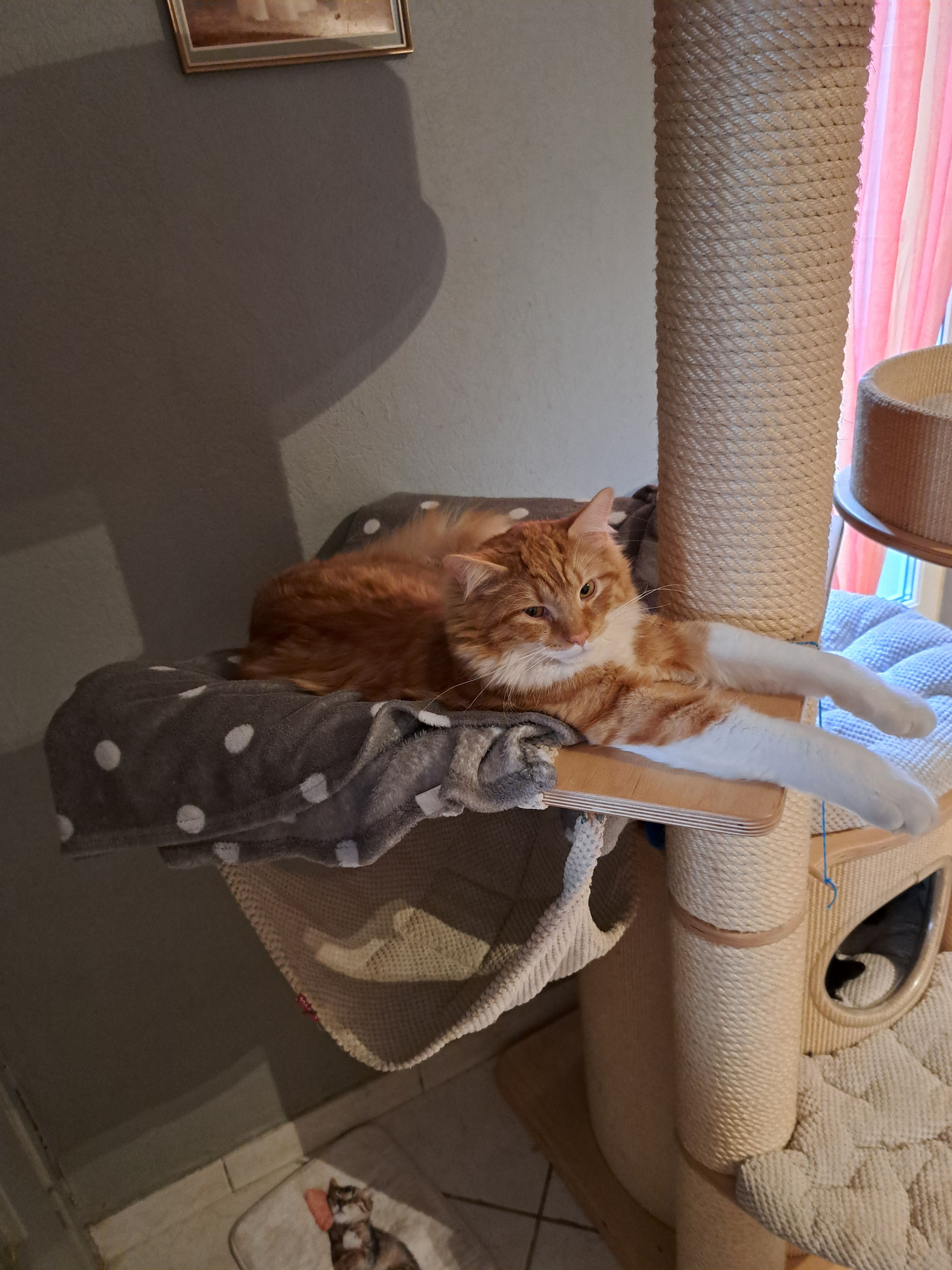 Whiskey - Rue de la Paix, Longwy