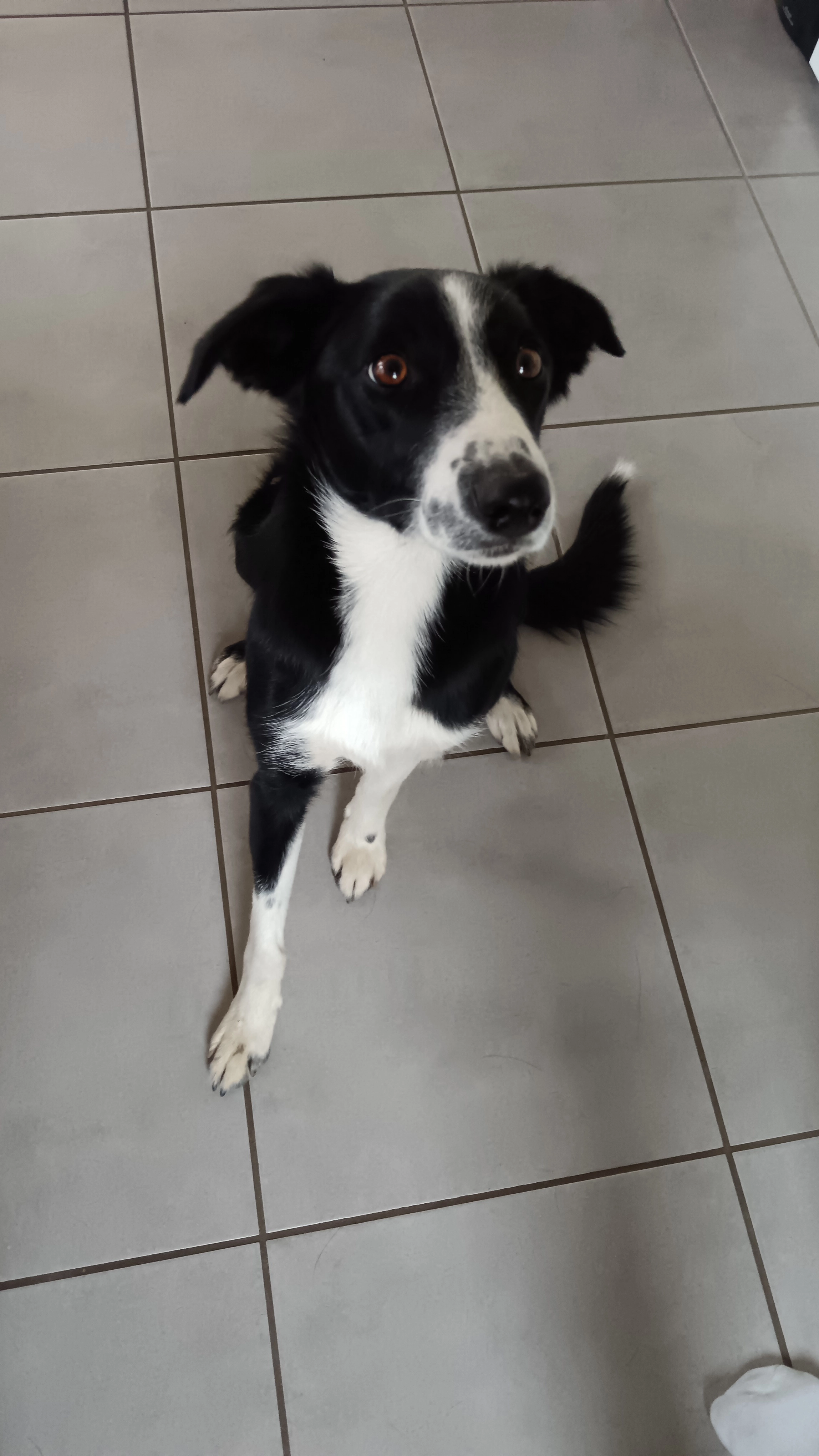 Isys - D 118, Saint-Thégonnec