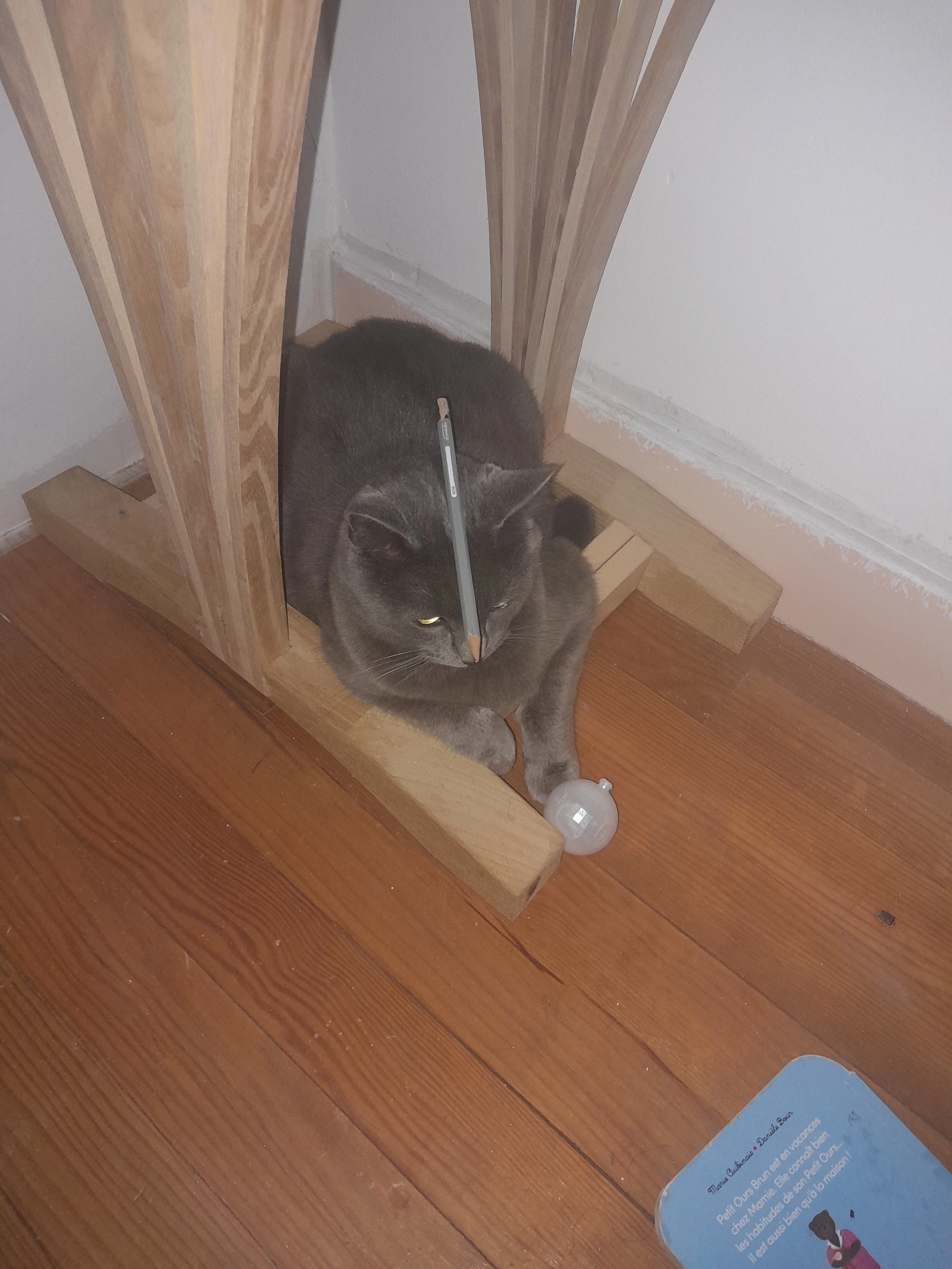 Maurice - Rue De La Plaine, Charvieu-Chavagneux