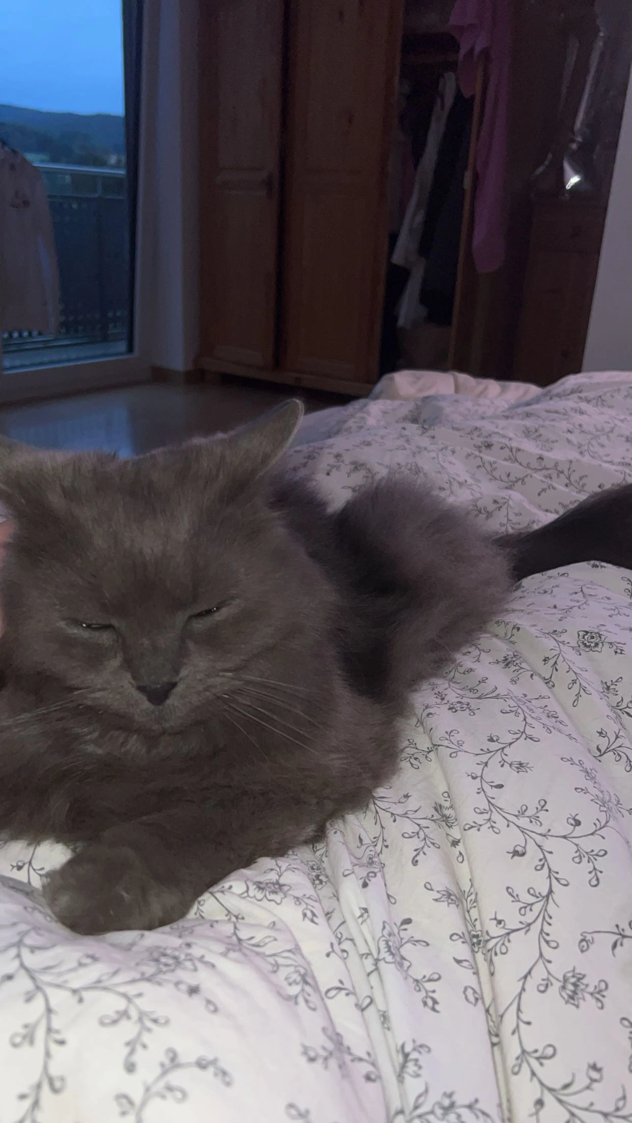 Luis - Blumenstraße, Bessenbach