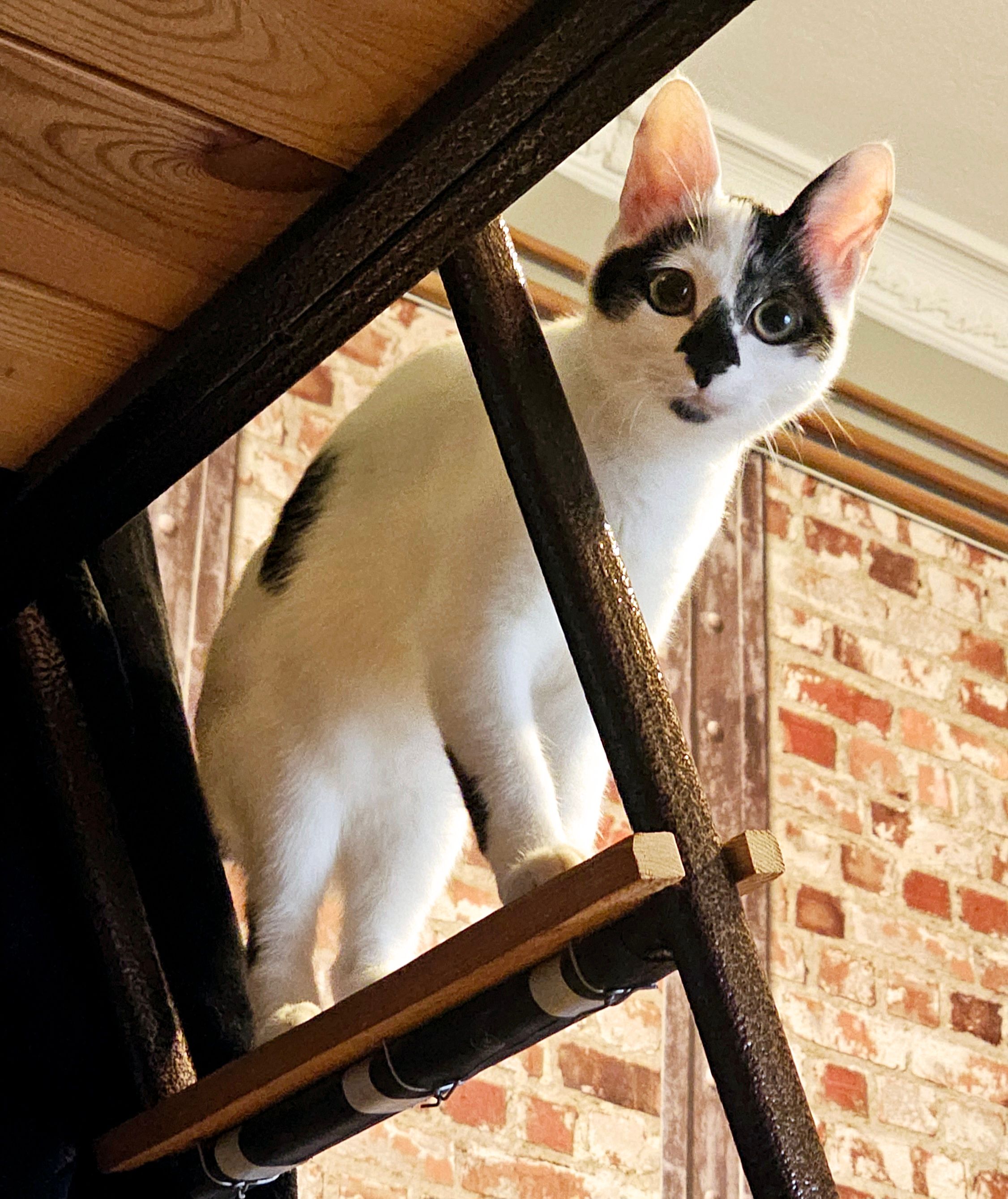 Luna - Διογένους, Evosmos