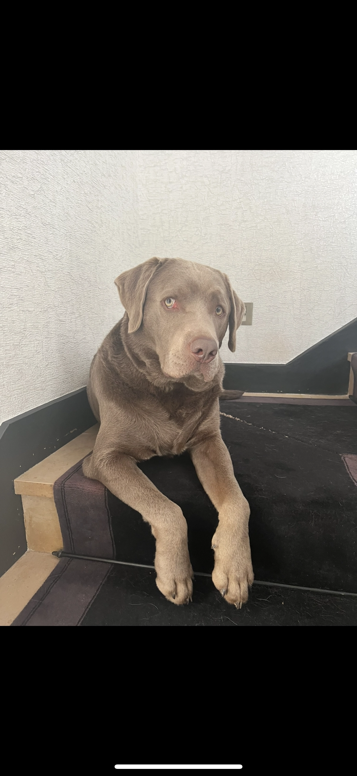 Oud - Rue des Aubépines, Luxembourg