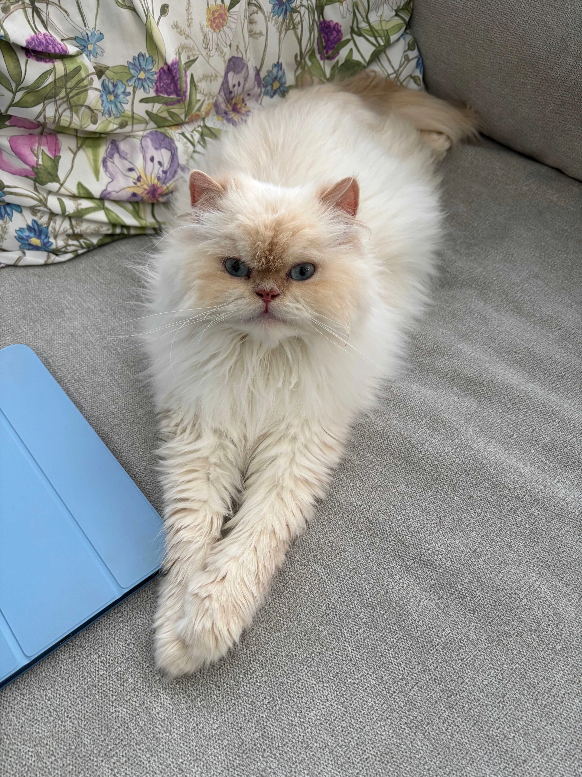 Julie  - Retiesebaan, Kasterlee