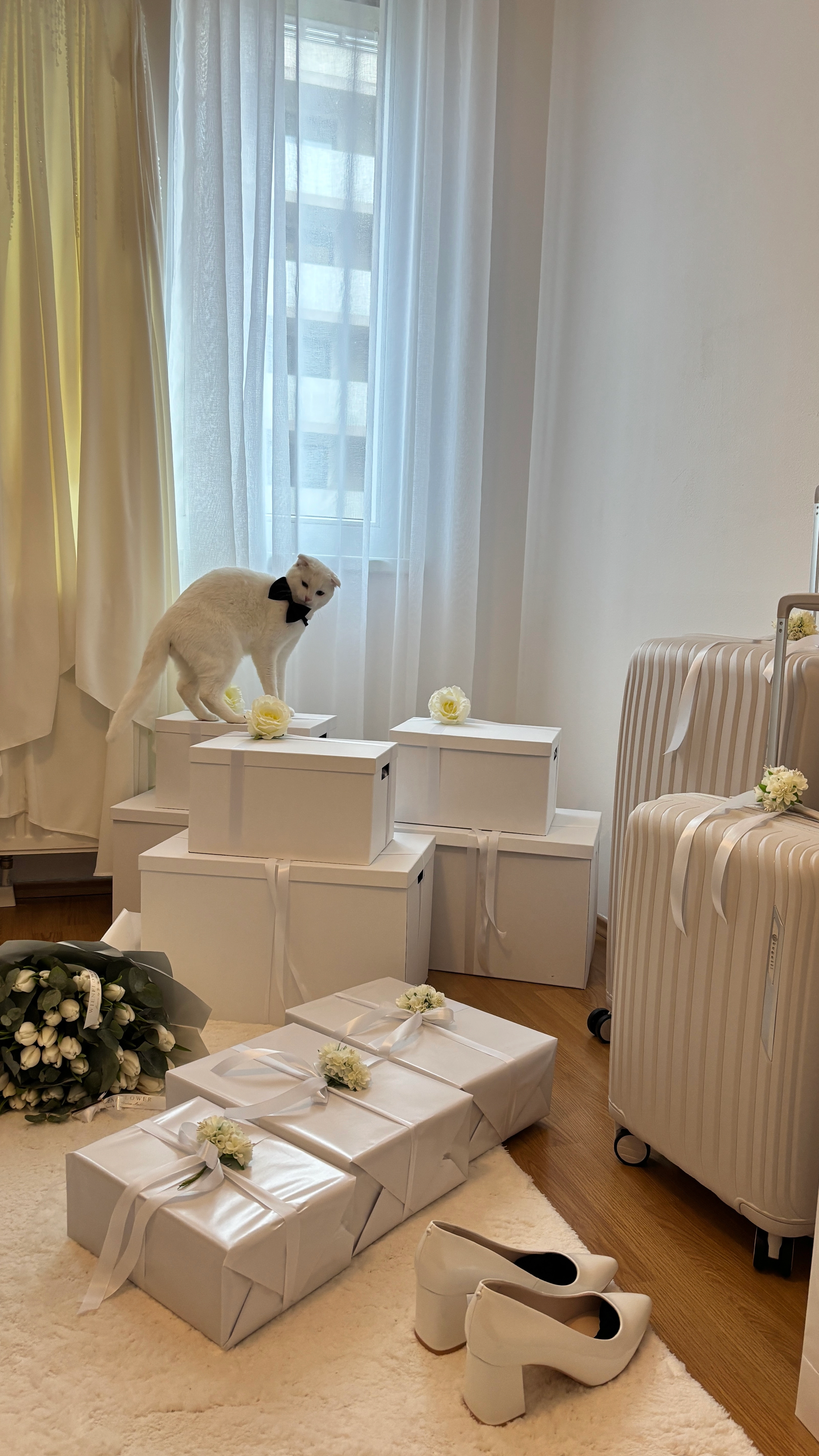 Fais - Maria-Tusch-Straße, Wien