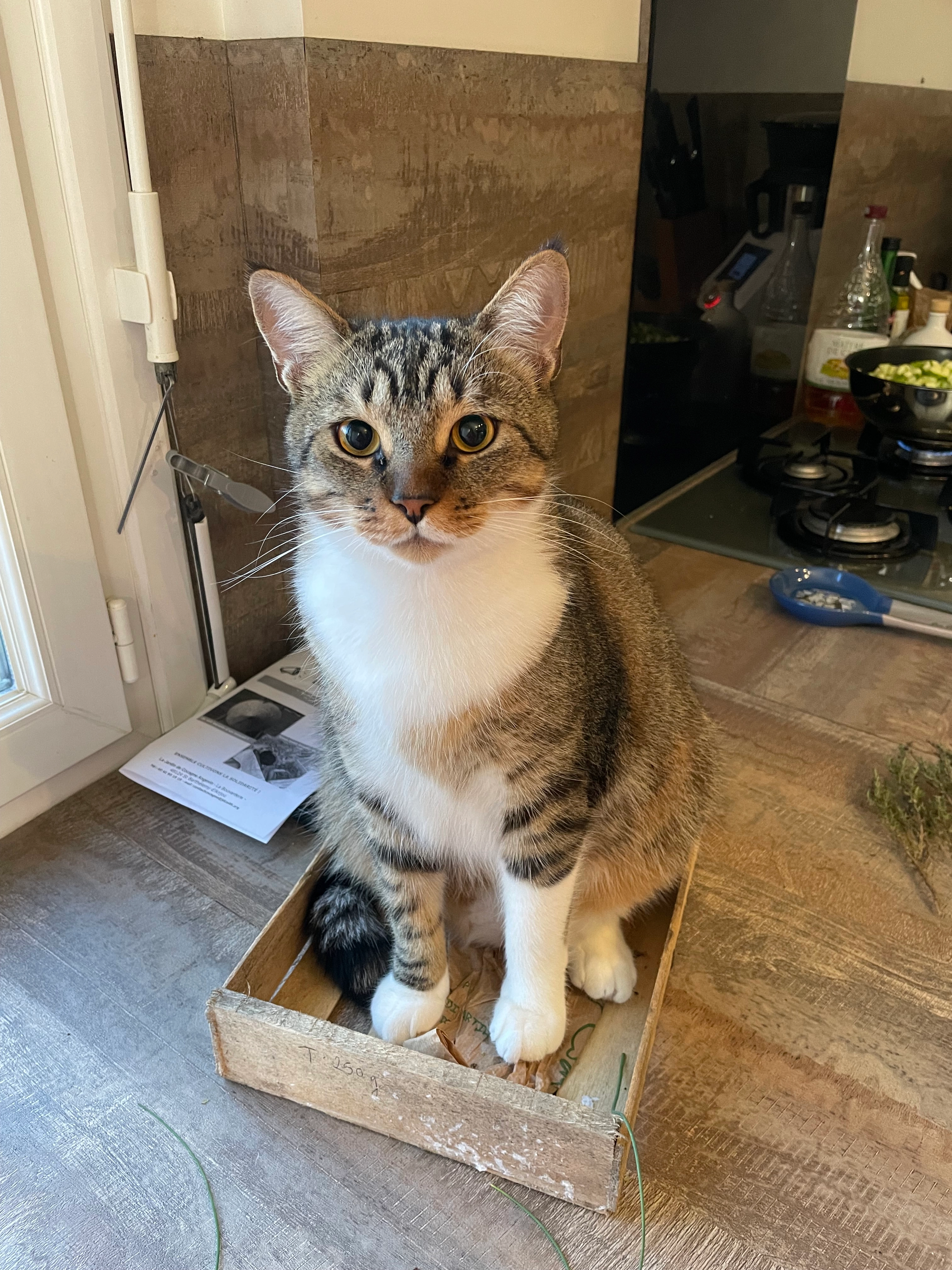 Snow - 18 Rue de la Fresnaie, Sainte-Luce-sur-Loire