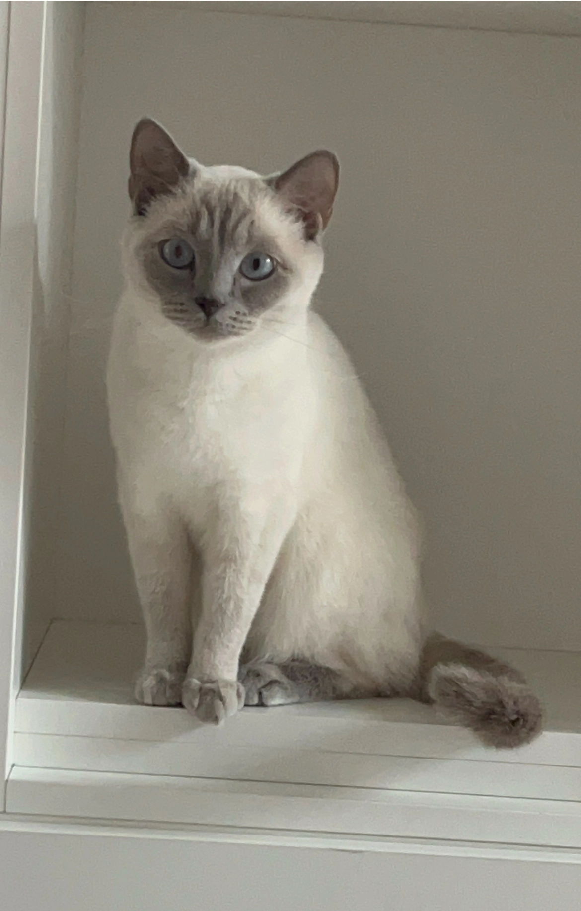 Rojin - Allée de la Seine, Ivry-sur-Seine