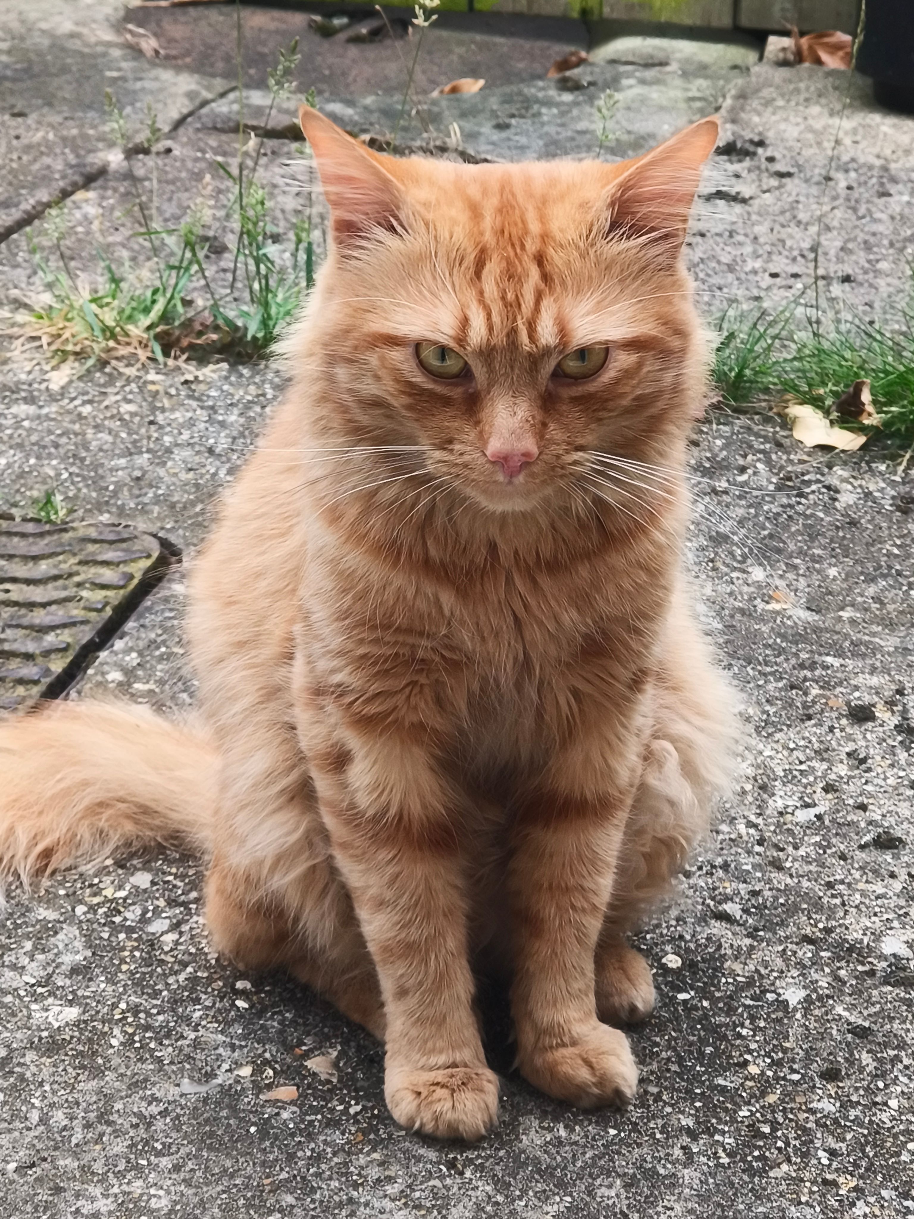 Jesse - 14 Oxford Street, Boston