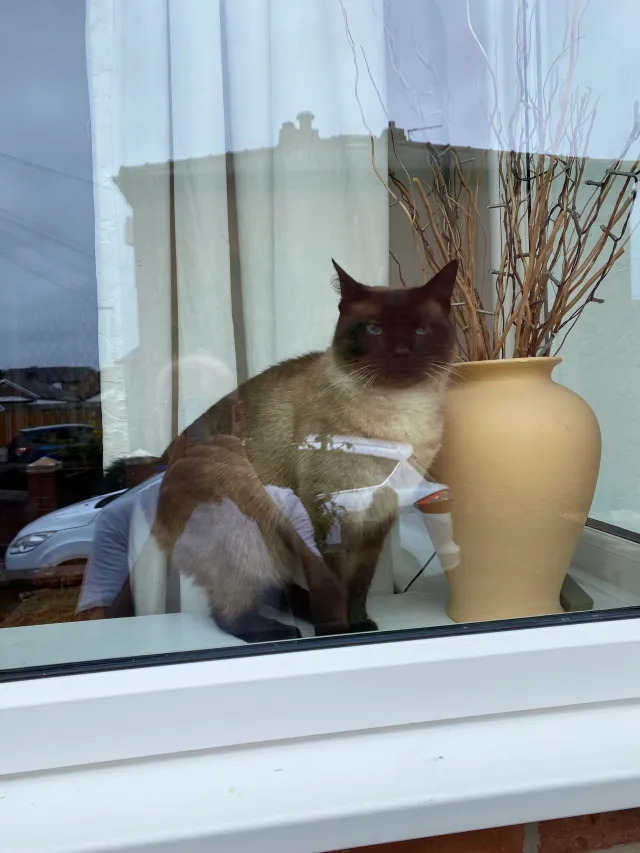 Milo - 27 Belmont Avenue, Wigan
