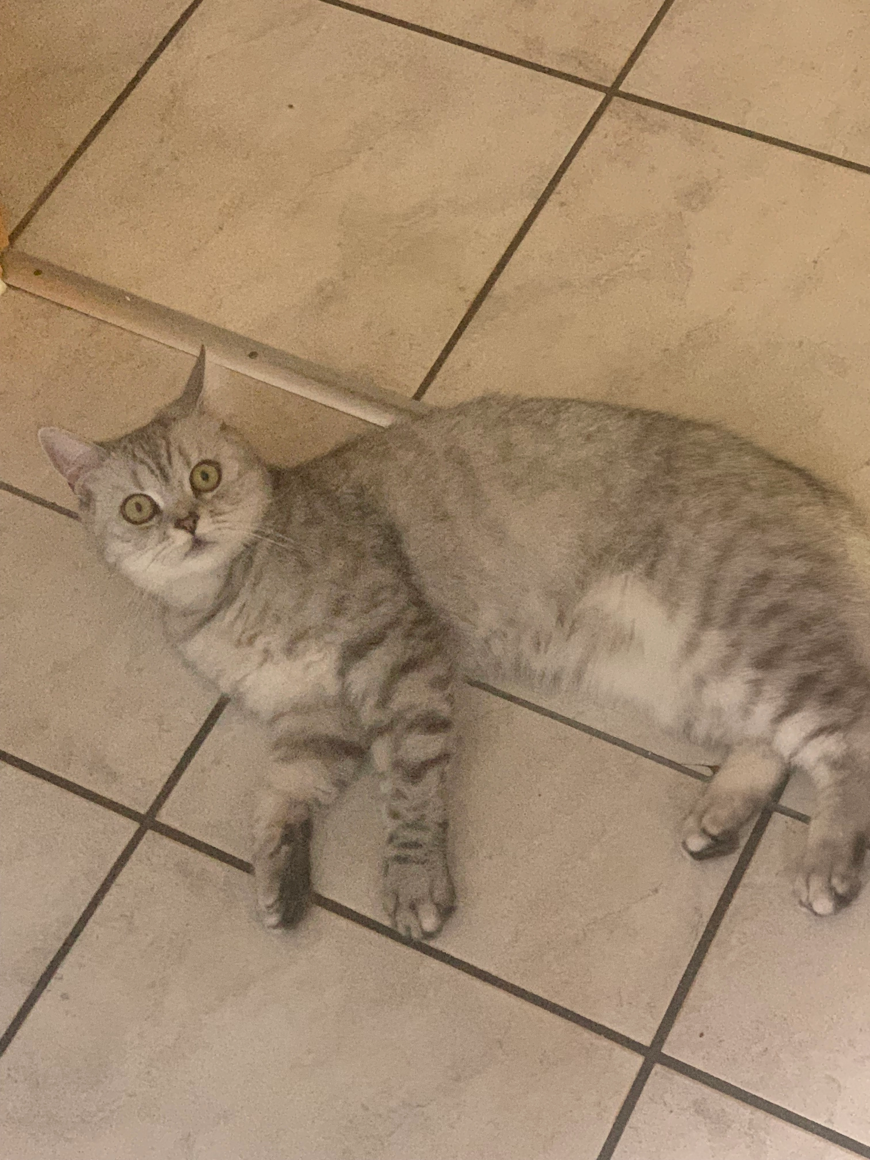 Lokum  - Im Meinecken Sohl, Gifhorn