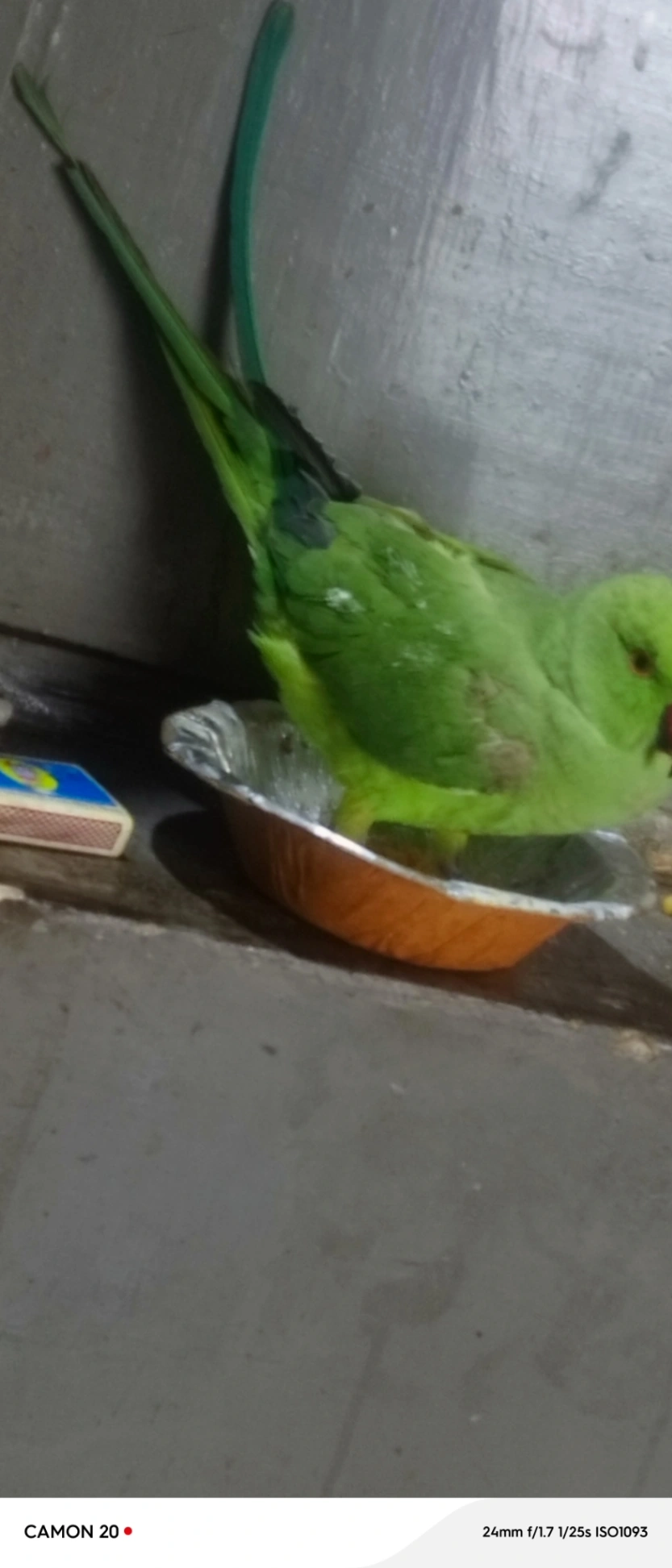 Tota - Mathura UP Border Road, Mathura