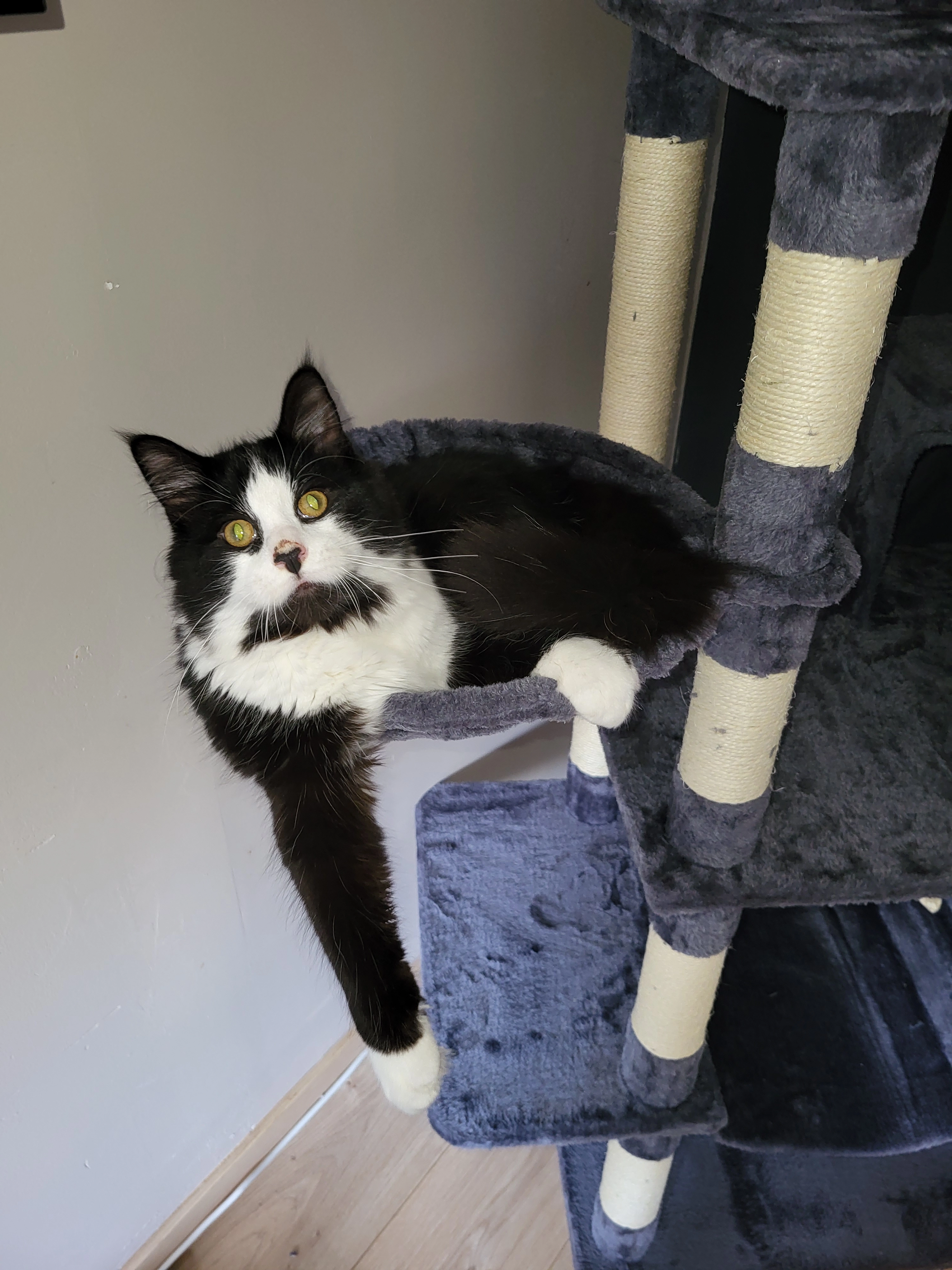 Sony - Rue De L'église, Lobbes