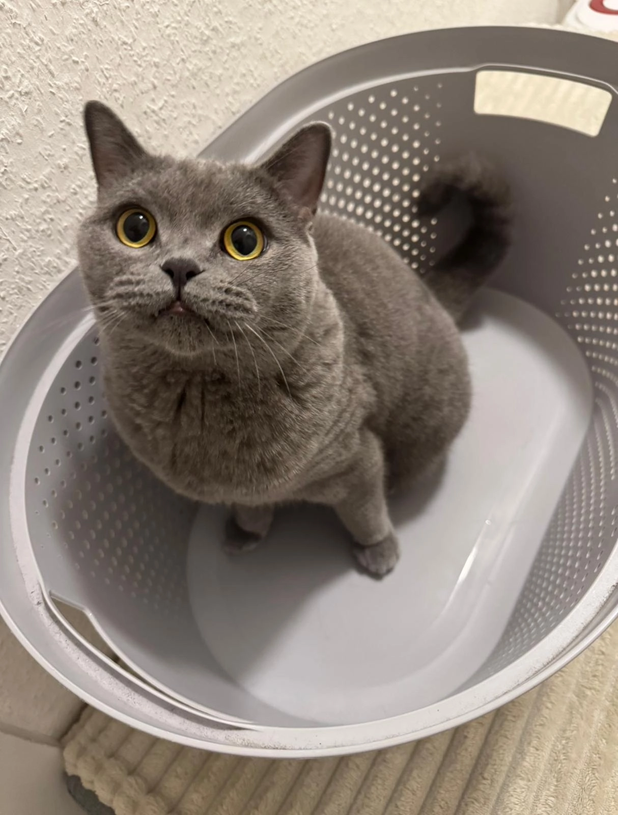 Ela - Mühltorweg, Hanau