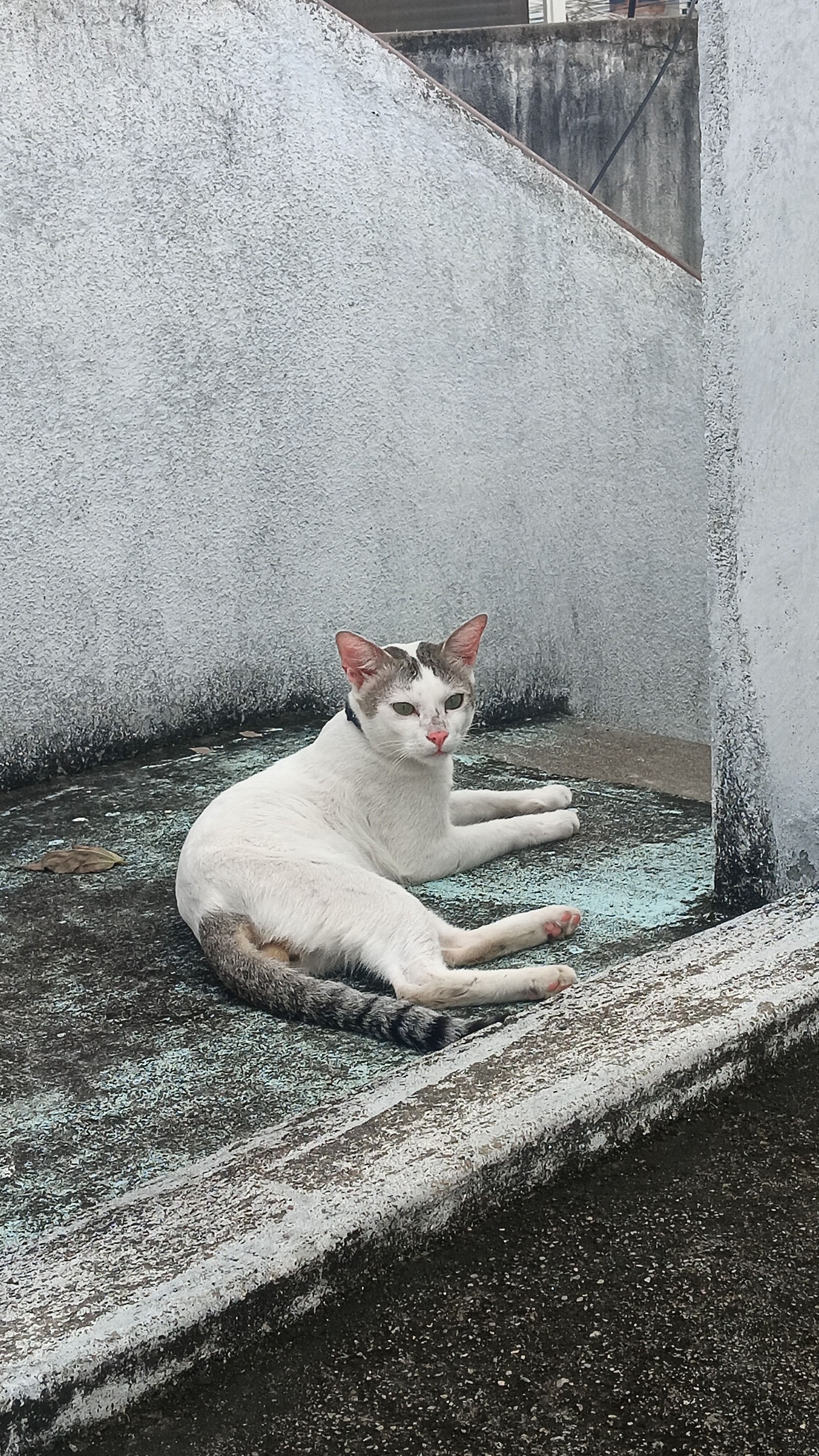 Dolu - Salem Villupuram, Attur