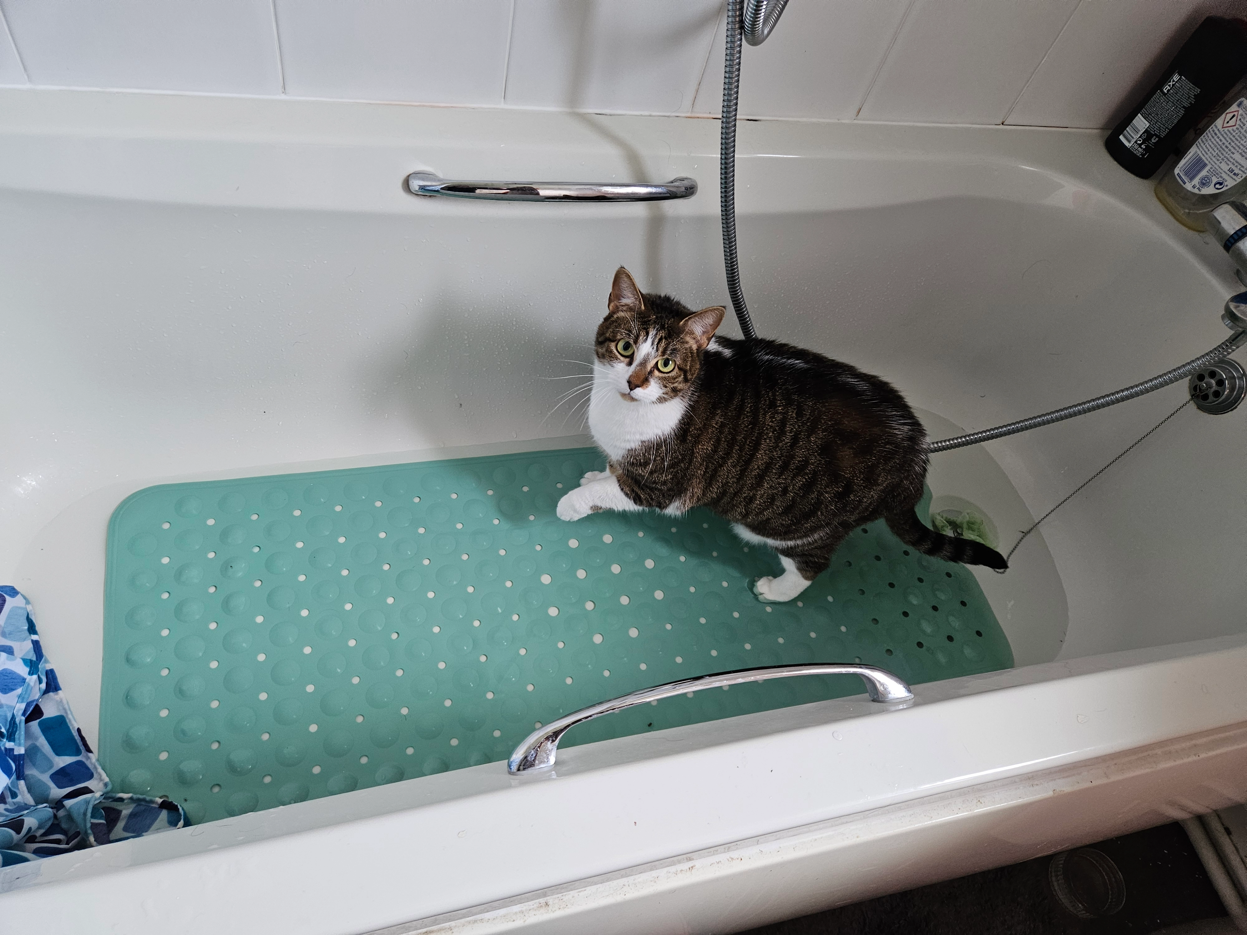 JoJo - Rivermead, Wakefield