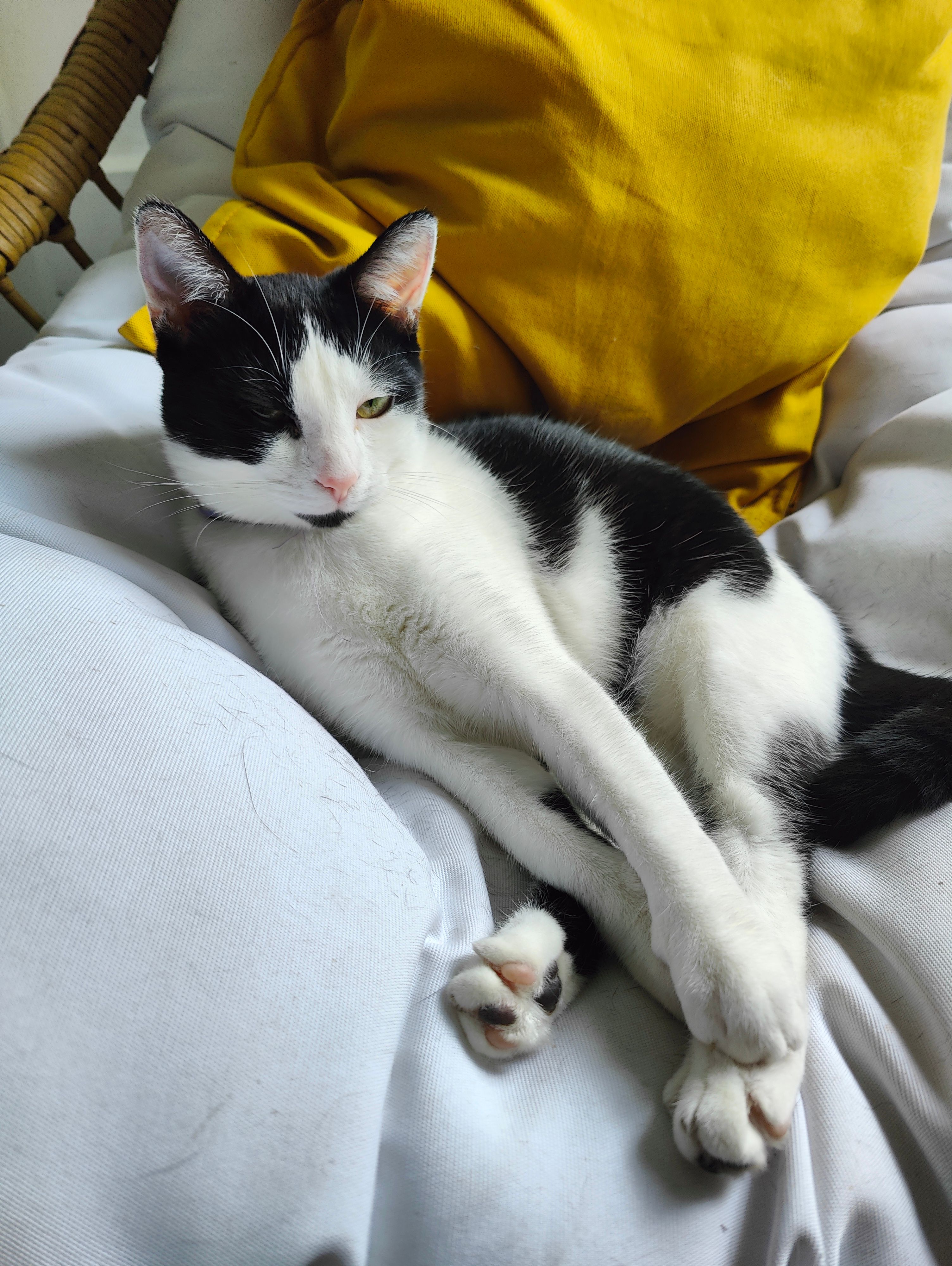 Lilo - Rue Sadi Carnot, Crest