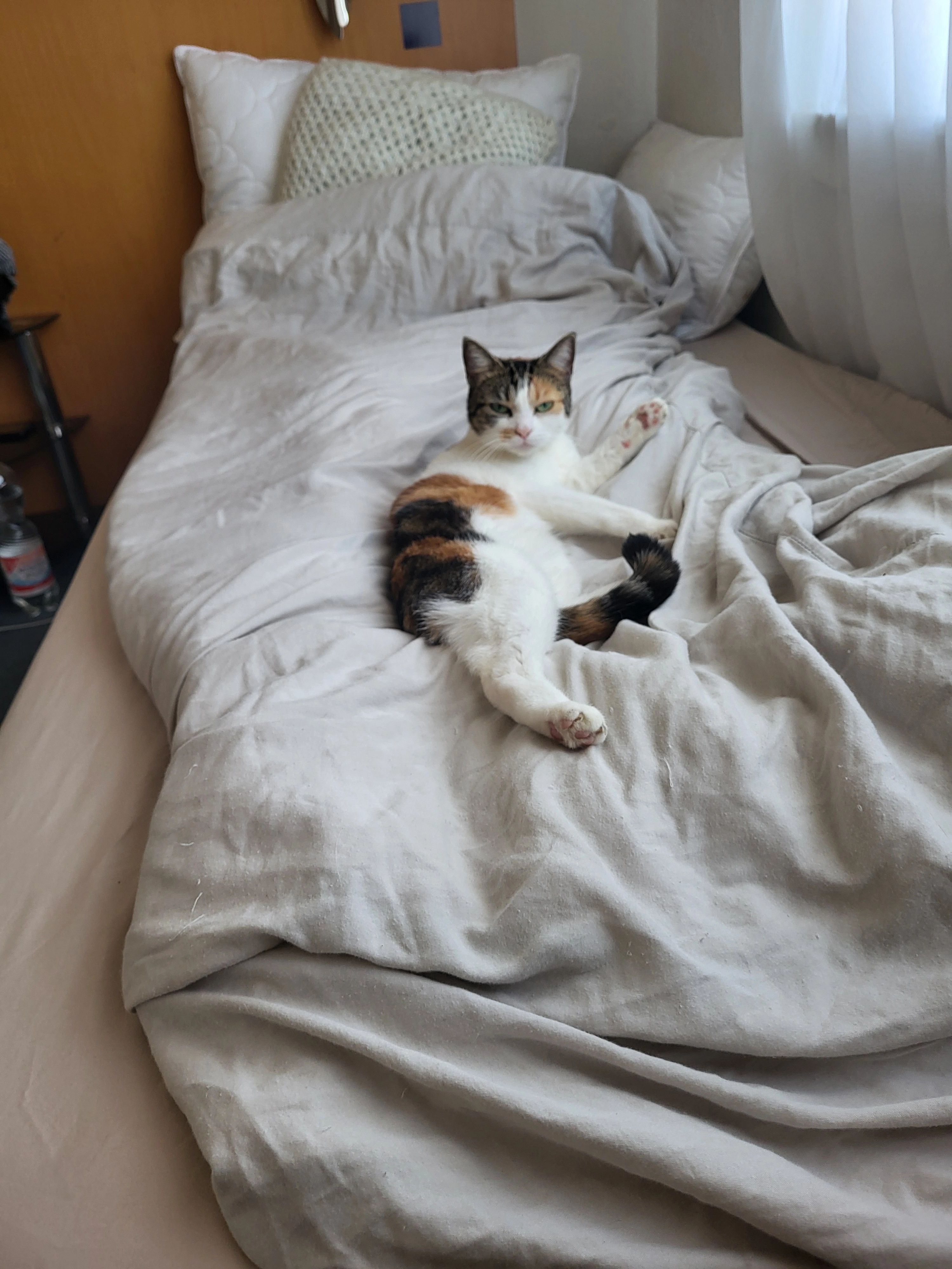 Prinzessin  - Vitusstraße, Everswinkel