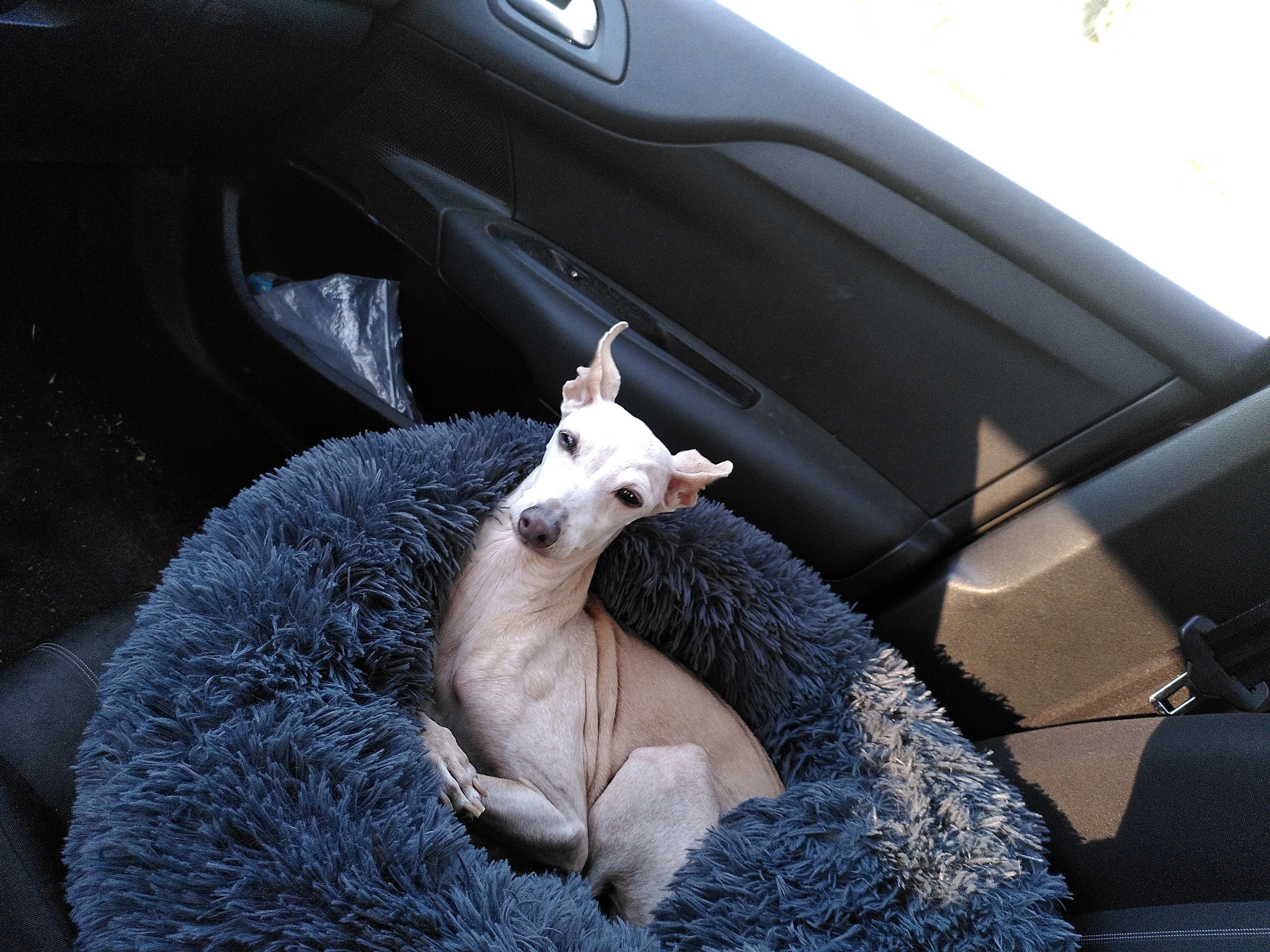 Topaze - Rue Mandron, Bordeaux