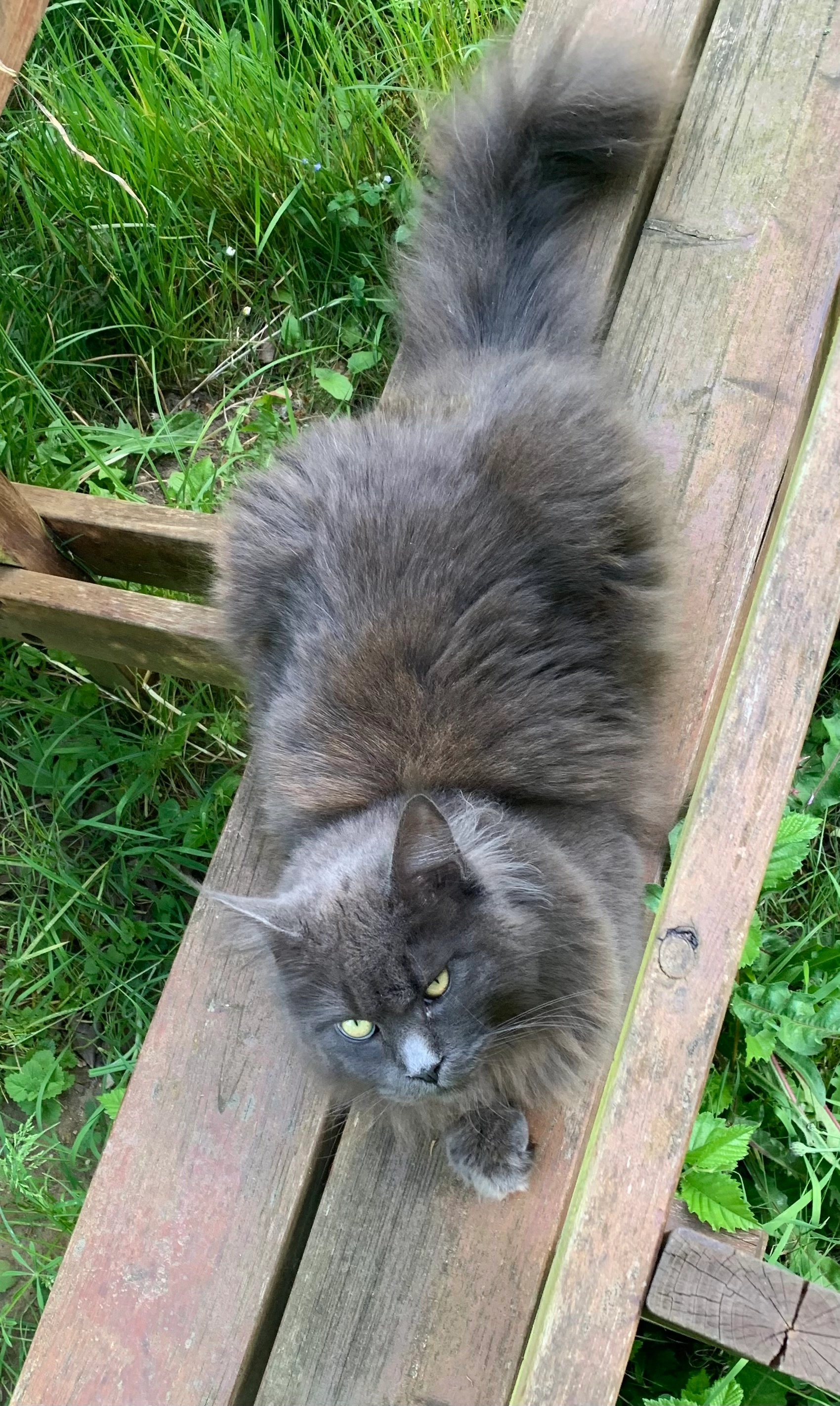 Ushaane  - Chemin De La Tuilerie, Corcy