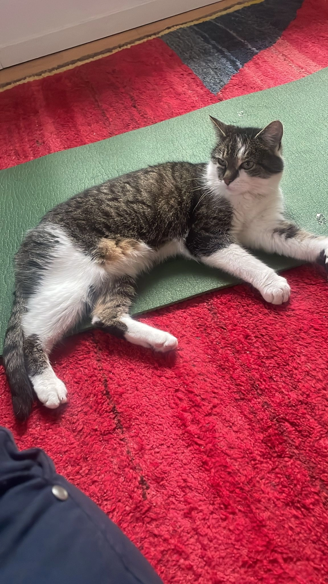 Poldi - Anzbachgasse, Wien