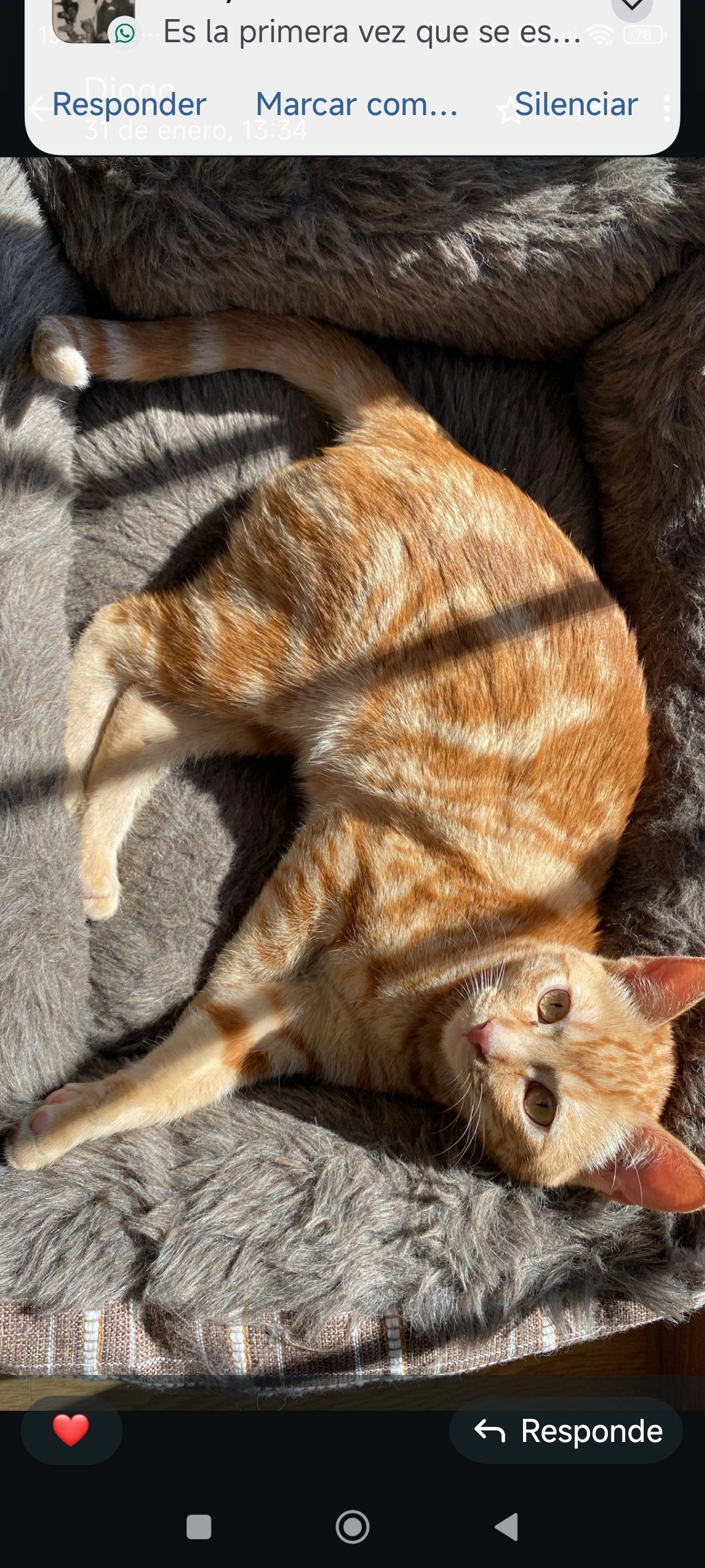 Carmela - Calle de la Amapola, Aljaraque