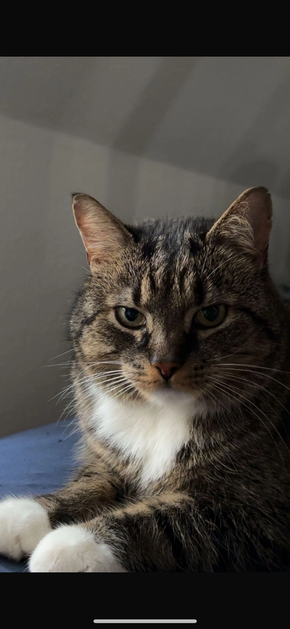 Kingslay  - Nachtigalstraße, Herford