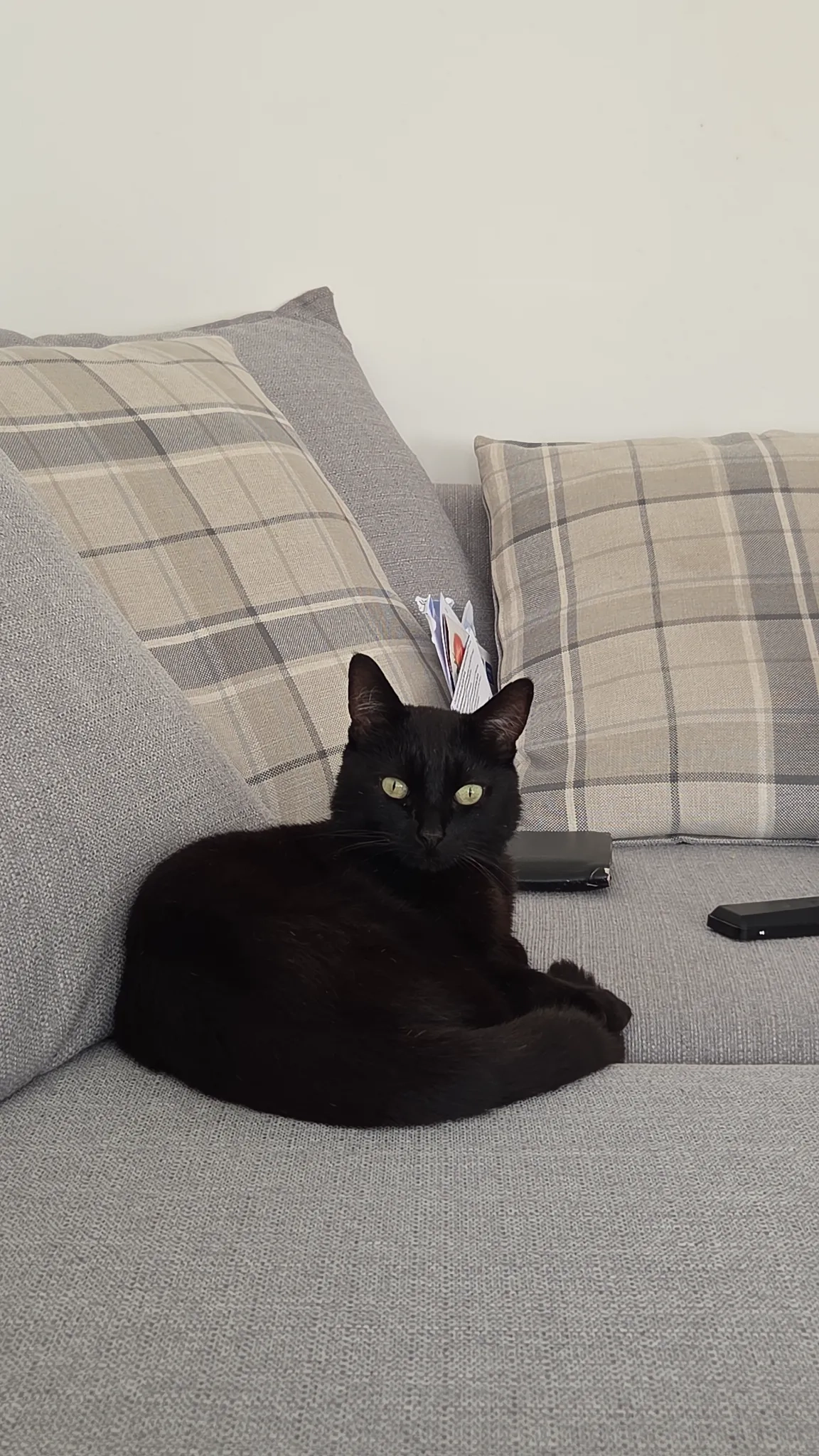 Shadow - Jerry Rails Avenue, Telford